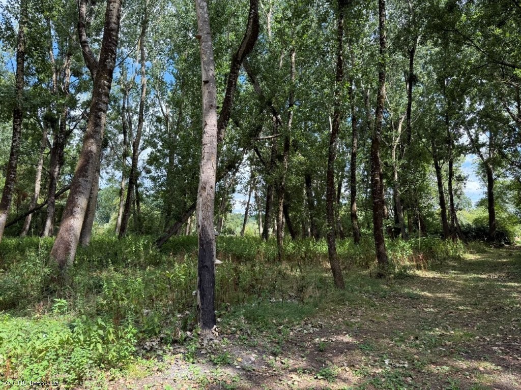 3 bedroom House in Ruffec, France – r7441