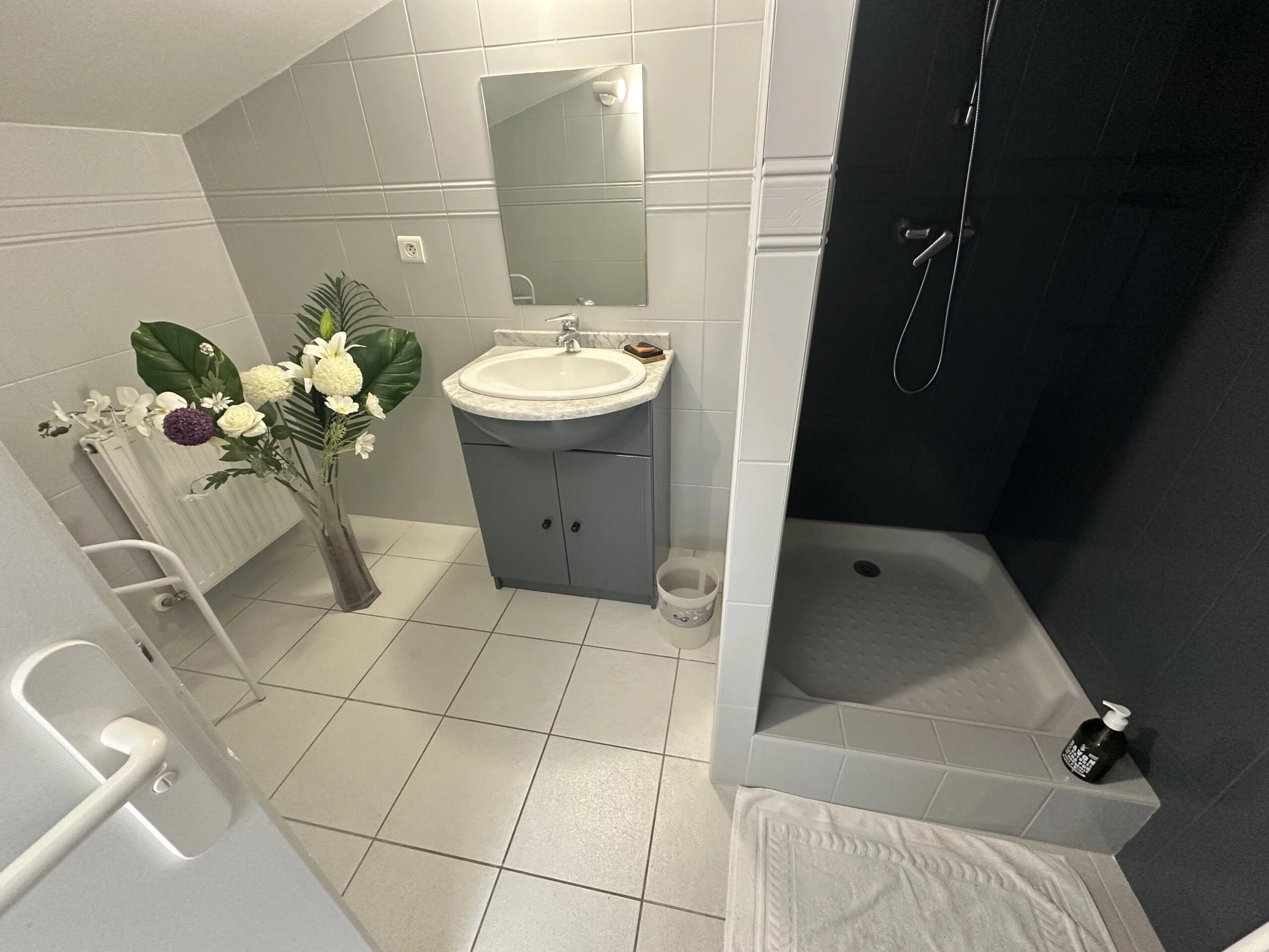 Lovely stone property with guest house, outbuildings and pool near Monségur and Duras, Aquitaine – France – BVI82378