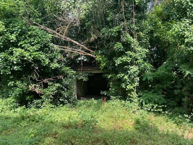 4 bed period detached in need of renovation, Aquitaine – France – BVI81318