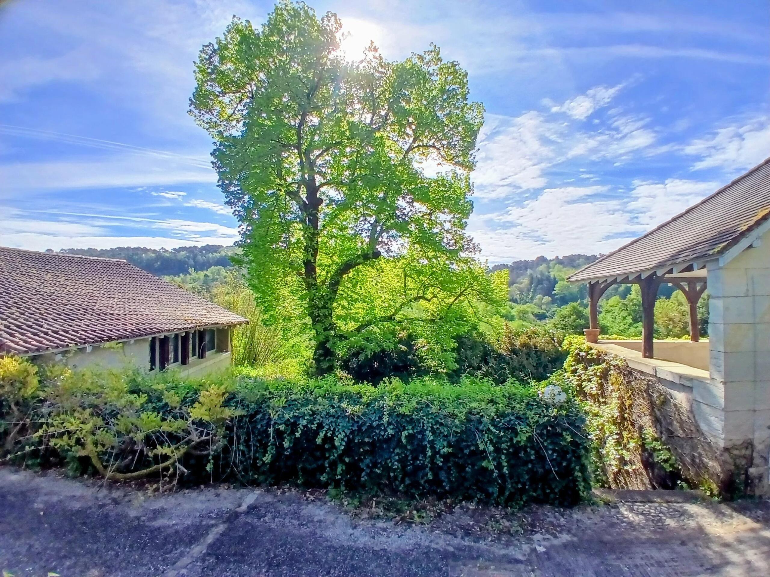 Beautiful property, with guest accommodation and forest views, to renovate, Aquitaine – France – BVI85218