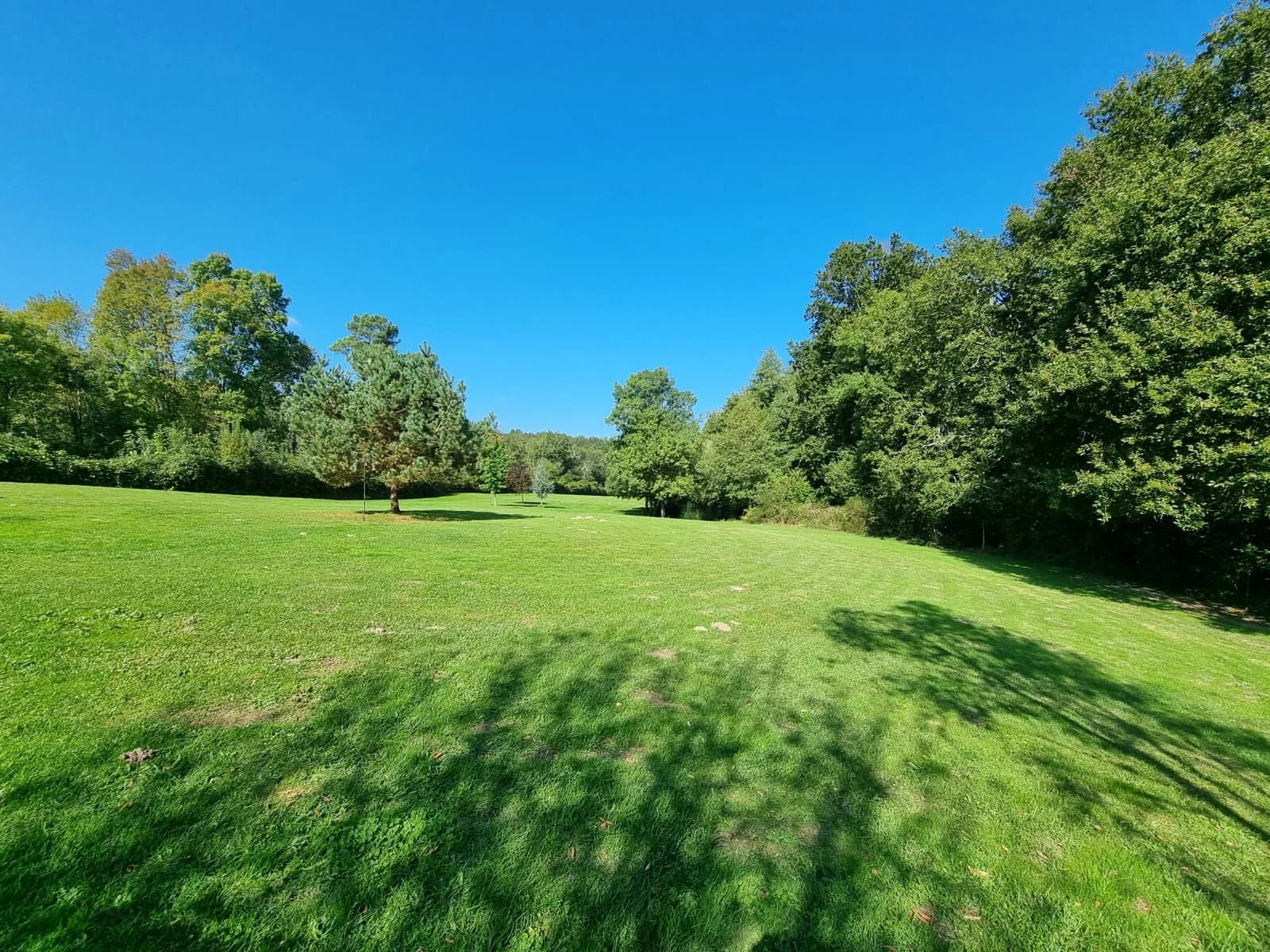 Fabulous refurbished 6 bedroom, 5 bathroom house 2 gites and 2 lakes, Poitou-Charentes – France – BVI81621