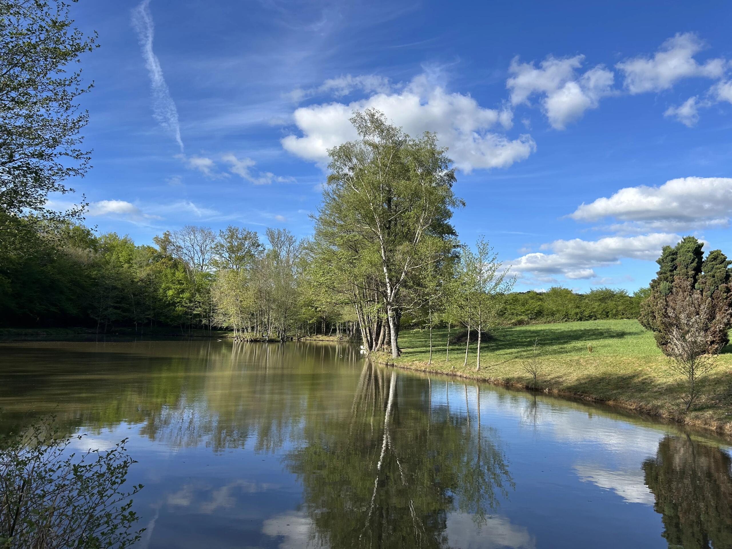Fishing lake with full fishing rights, Limousin – France – BVI85181