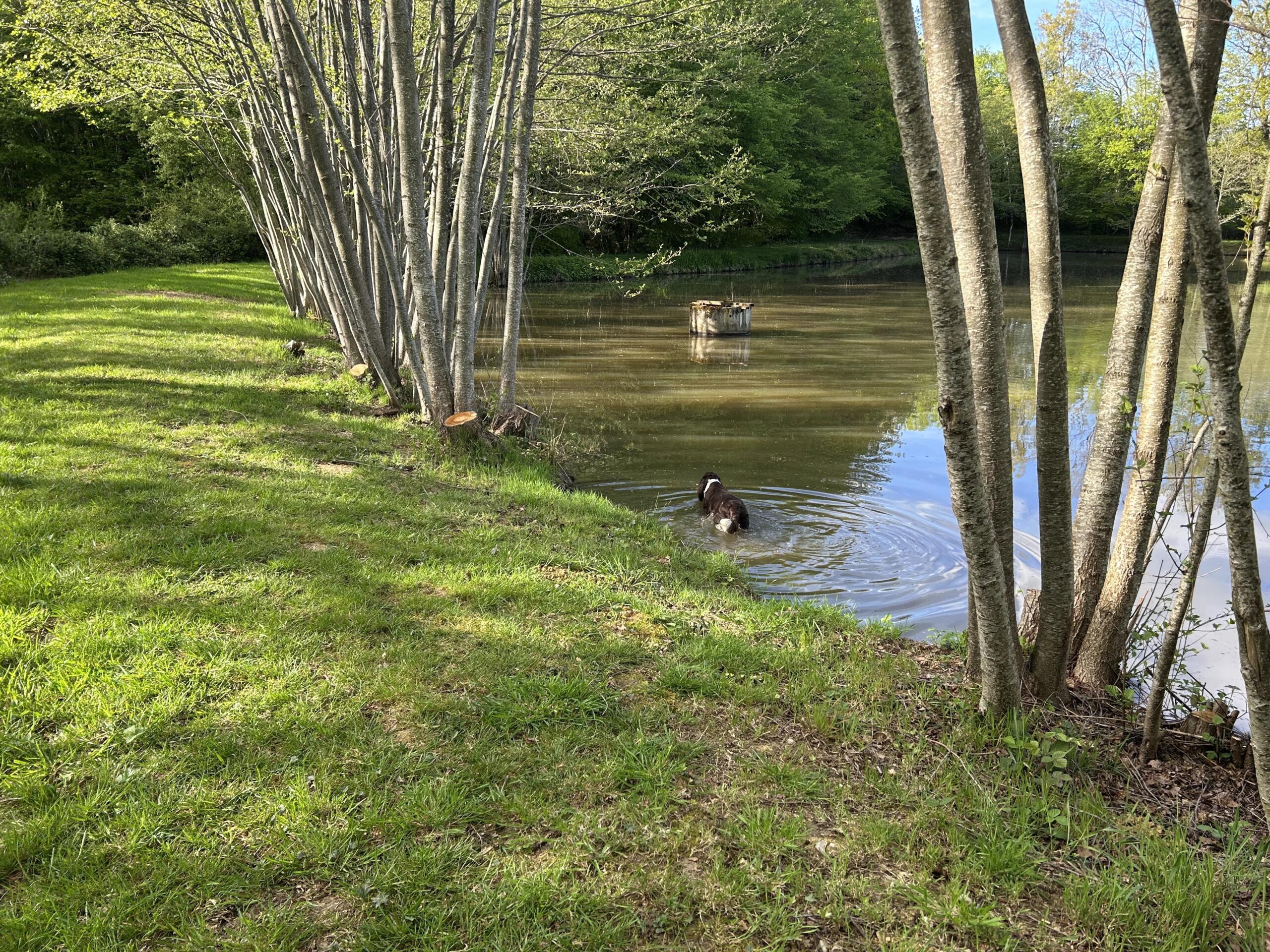 Fishing lake with full fishing rights, Limousin – France – BVI85181