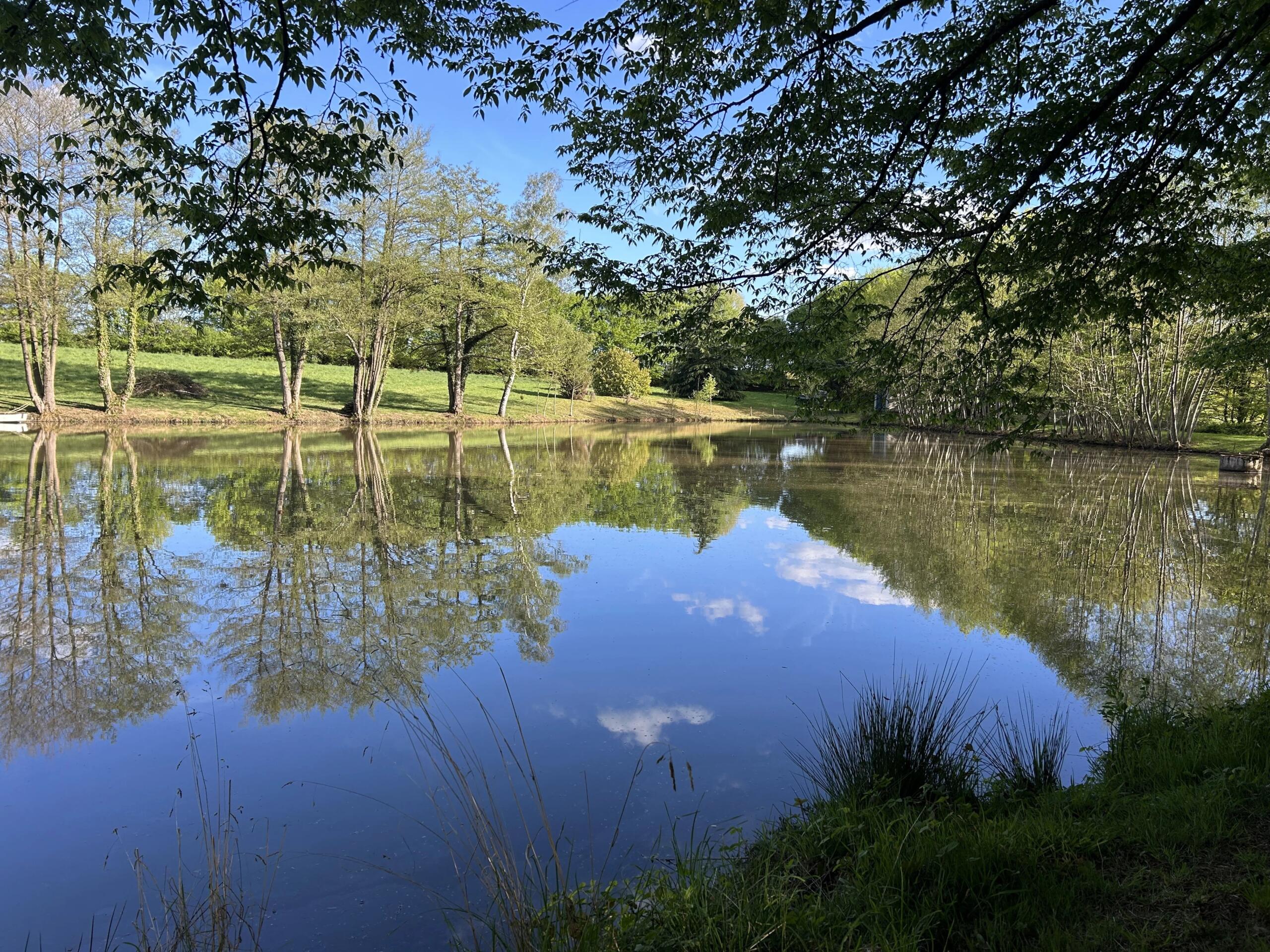 Fishing lake with full fishing rights, Limousin – France – BVI85181