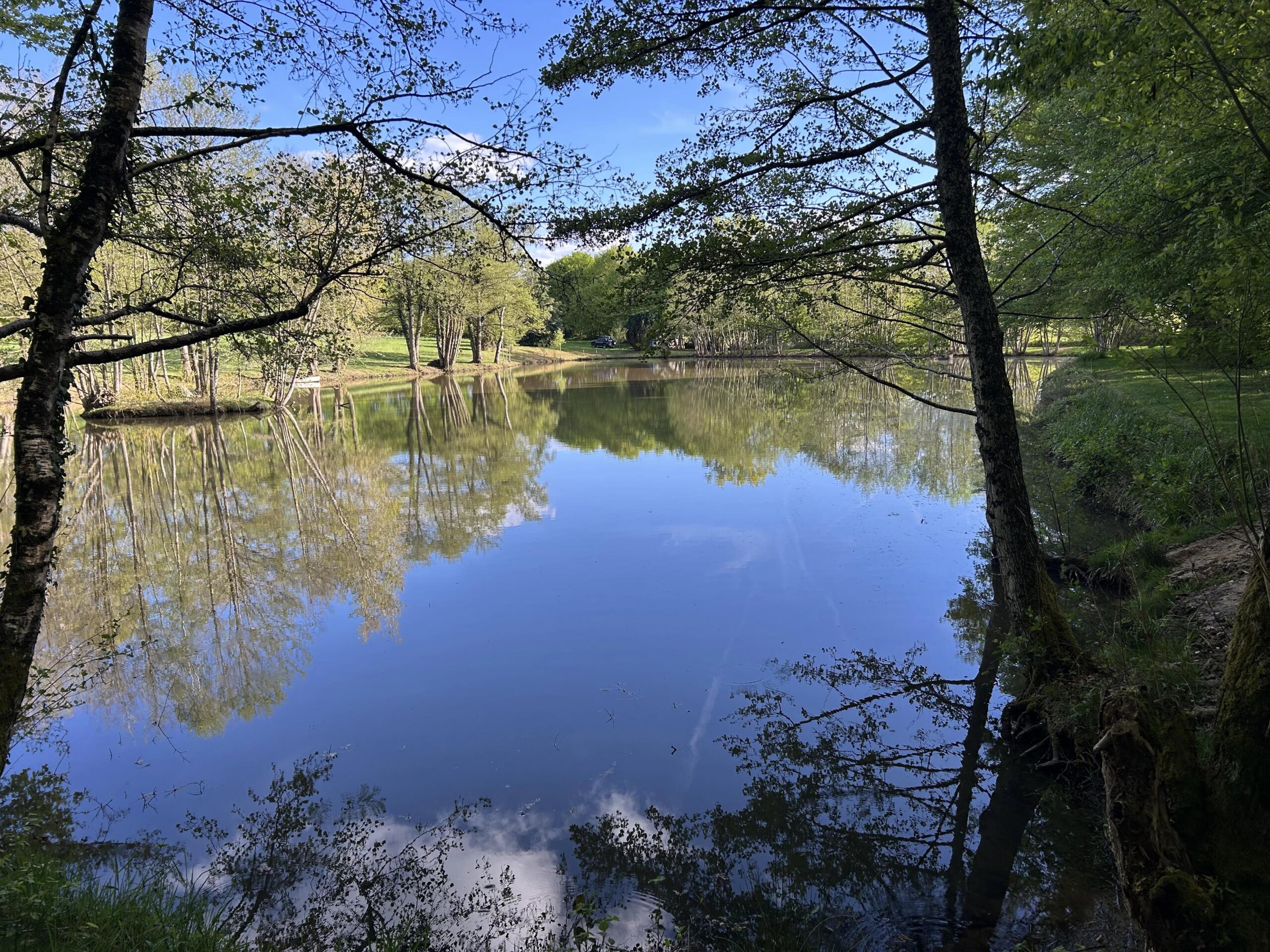Fishing lake with full fishing rights, Limousin – France – BVI85181
