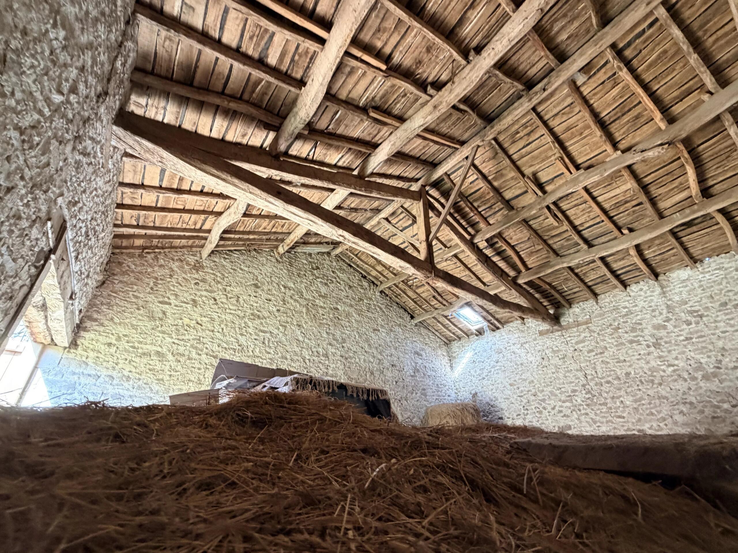 Village barn for renovation with over 10,000m2 of land, Limousin – France – BVI85449