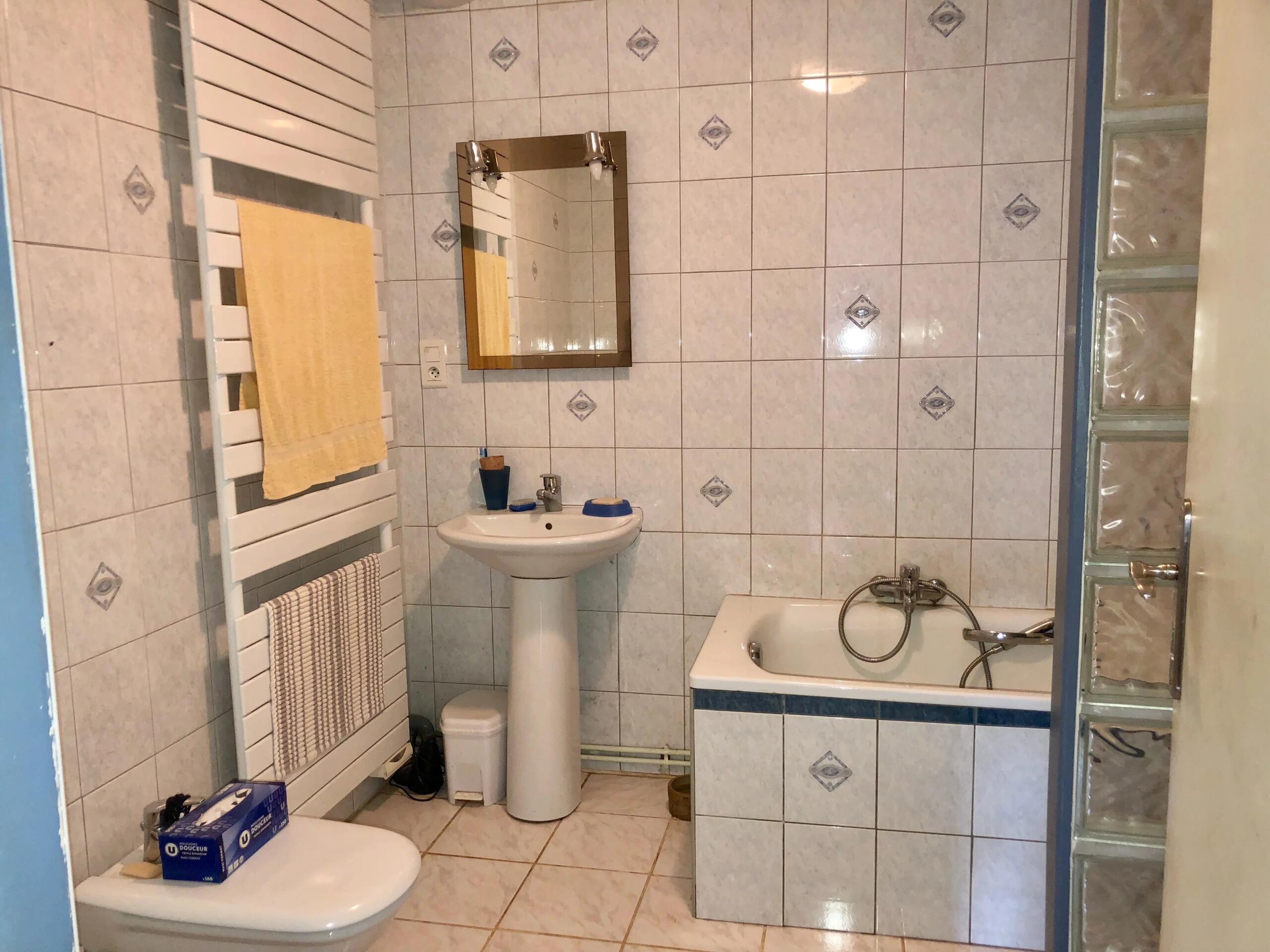 Attractive stone house with mature garden, Poitou-Charentes – France – BVI85180