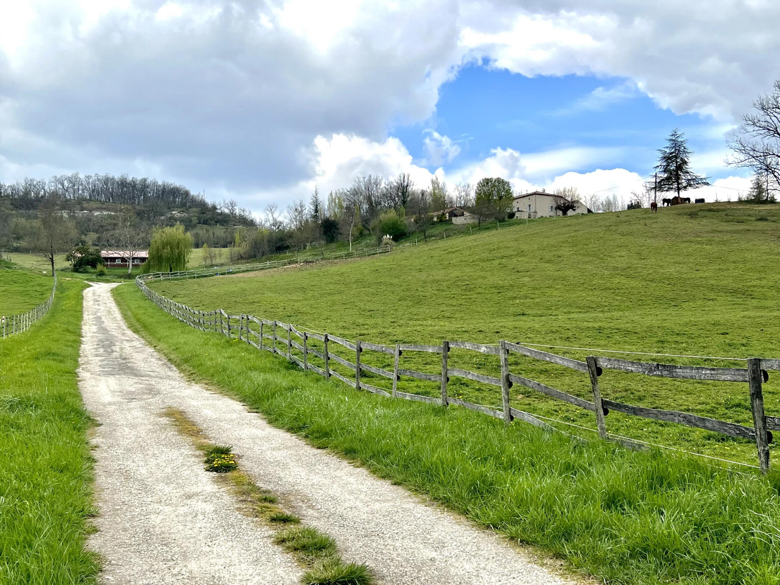 Exceptional Equestrian Estate with Guest House and 14 Hectares – Eco-Renovated Country Property in South-West France, Aquitaine – France – BVI80248