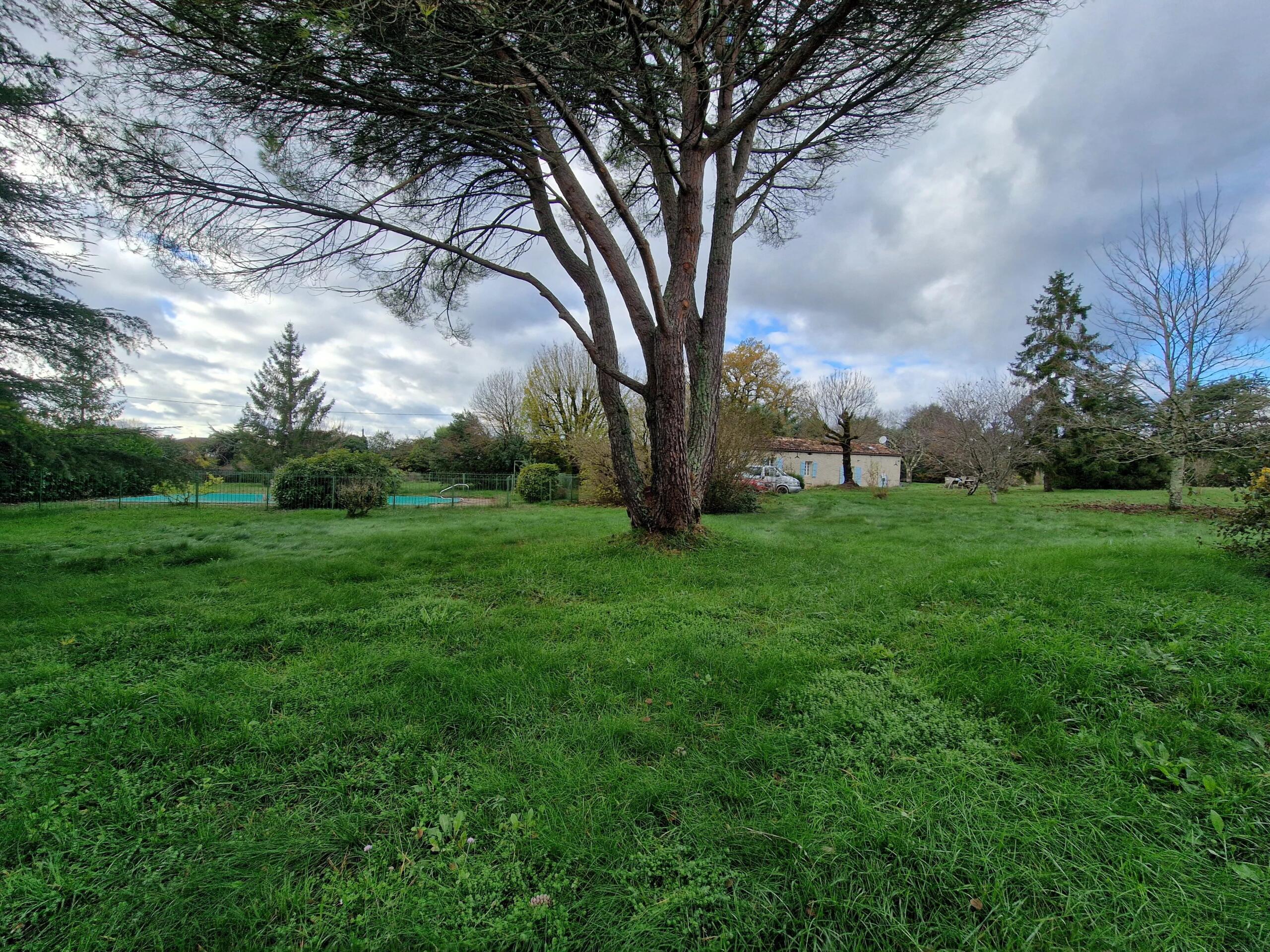 Charming Stone Cottage – A Great Project for Renovation Enthusiasts!, Aquitaine – France – BVI75723