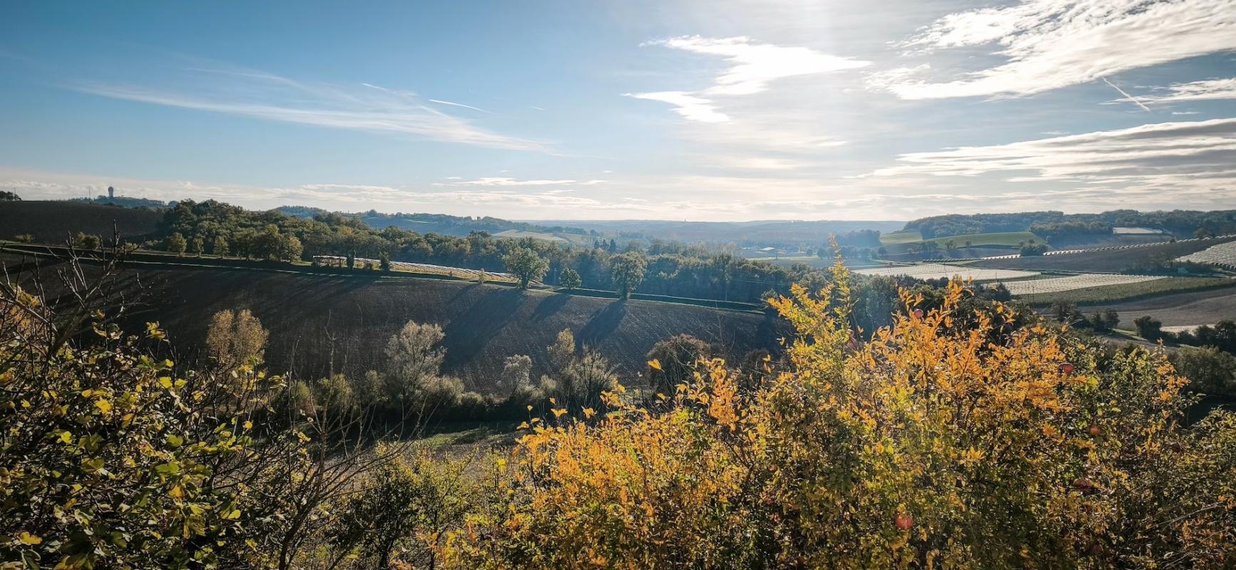 11 bedroom demeure in Saint Vincent Lespinasse, Tarn-et-Garonne, France