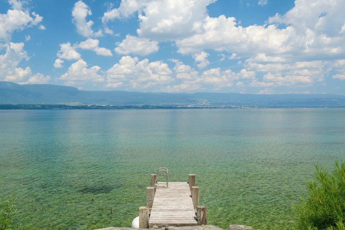 9 bedroom demeure in Chens Sur Leman, Haute-Savoie, France