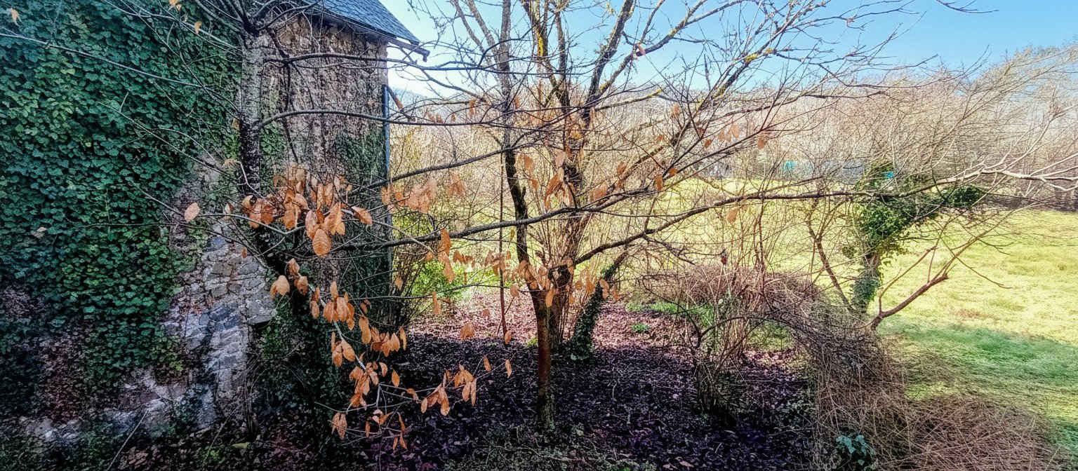 2 bedroom maison en pierres in Forges, Corrèze, France
