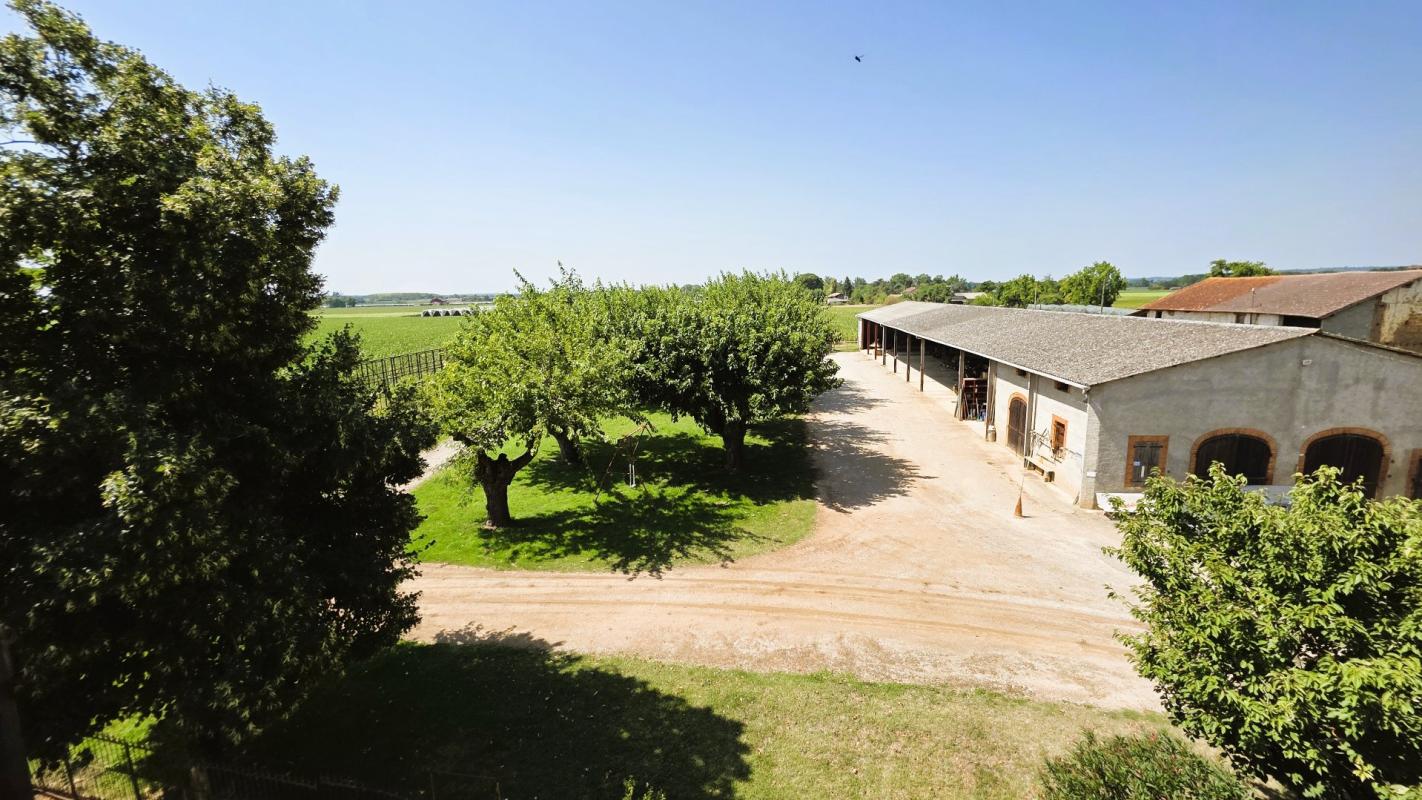 9 bedroom maison de maitre in Negrepelisse, Tarn-et-Garonne, France