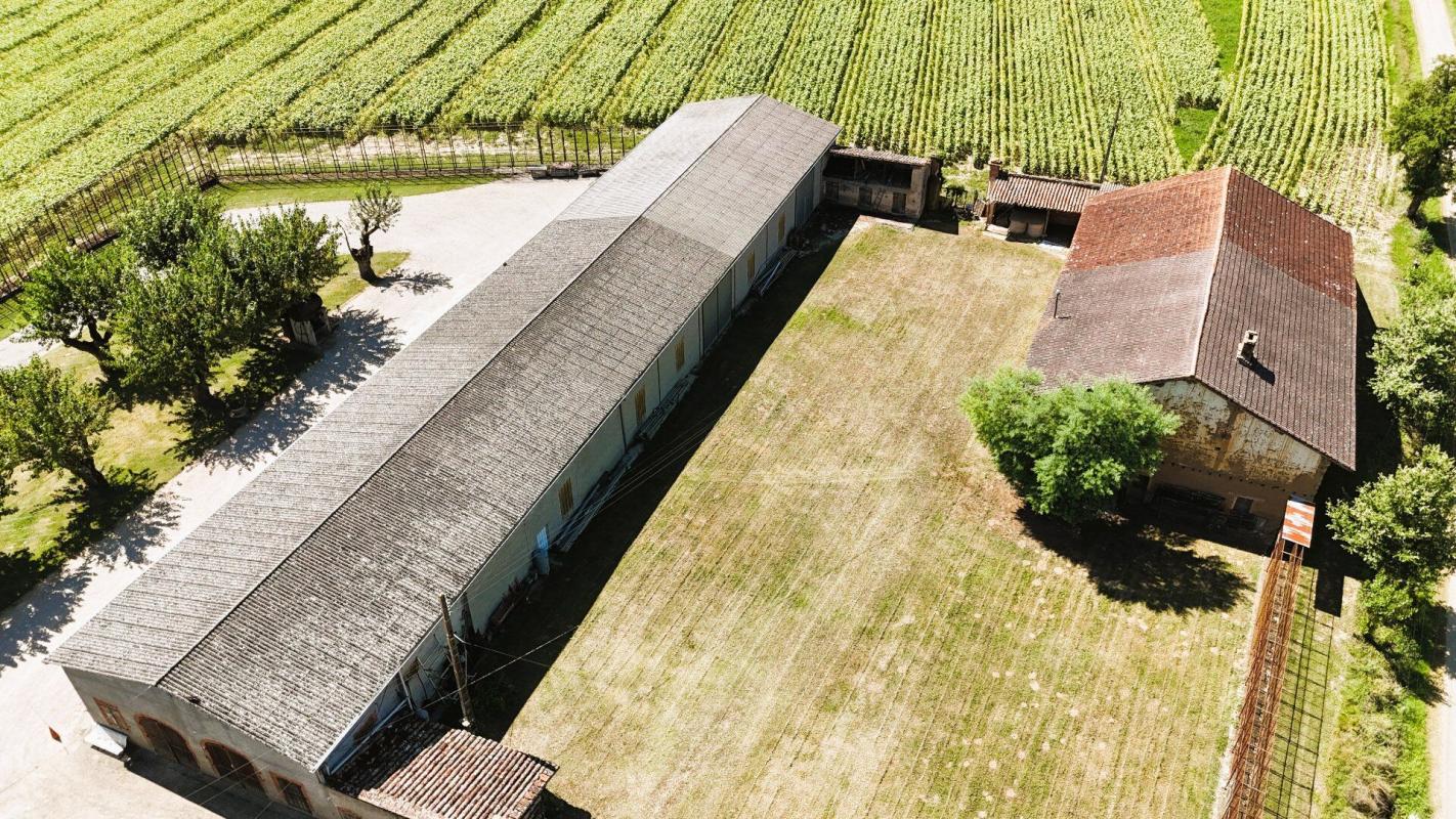 9 bedroom maison de maitre in Negrepelisse, Tarn-et-Garonne, France
