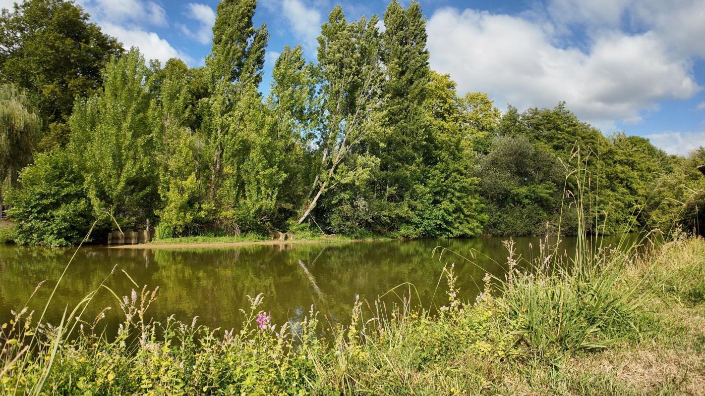 5 bedroom moulin in Peyrehorade, Landes, France