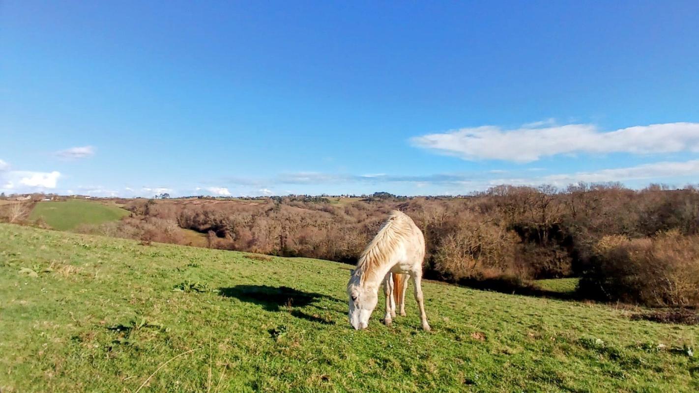 7 bedroom ferme in Ossages, Landes, France
