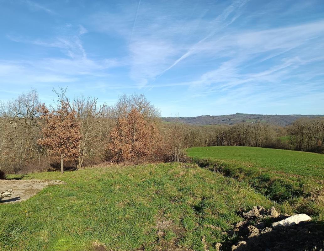 terrain a batir in Mirandol Bourgnounac, Tarn, France