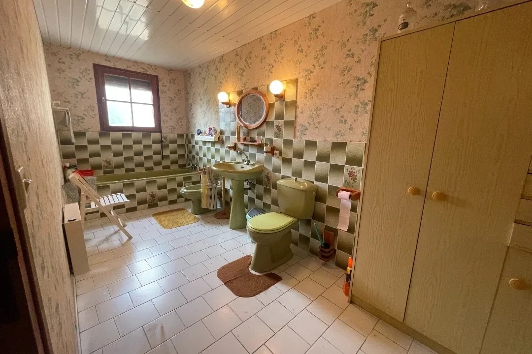 6 bedroom propriete in Balanzac, Charente-Maritime, France