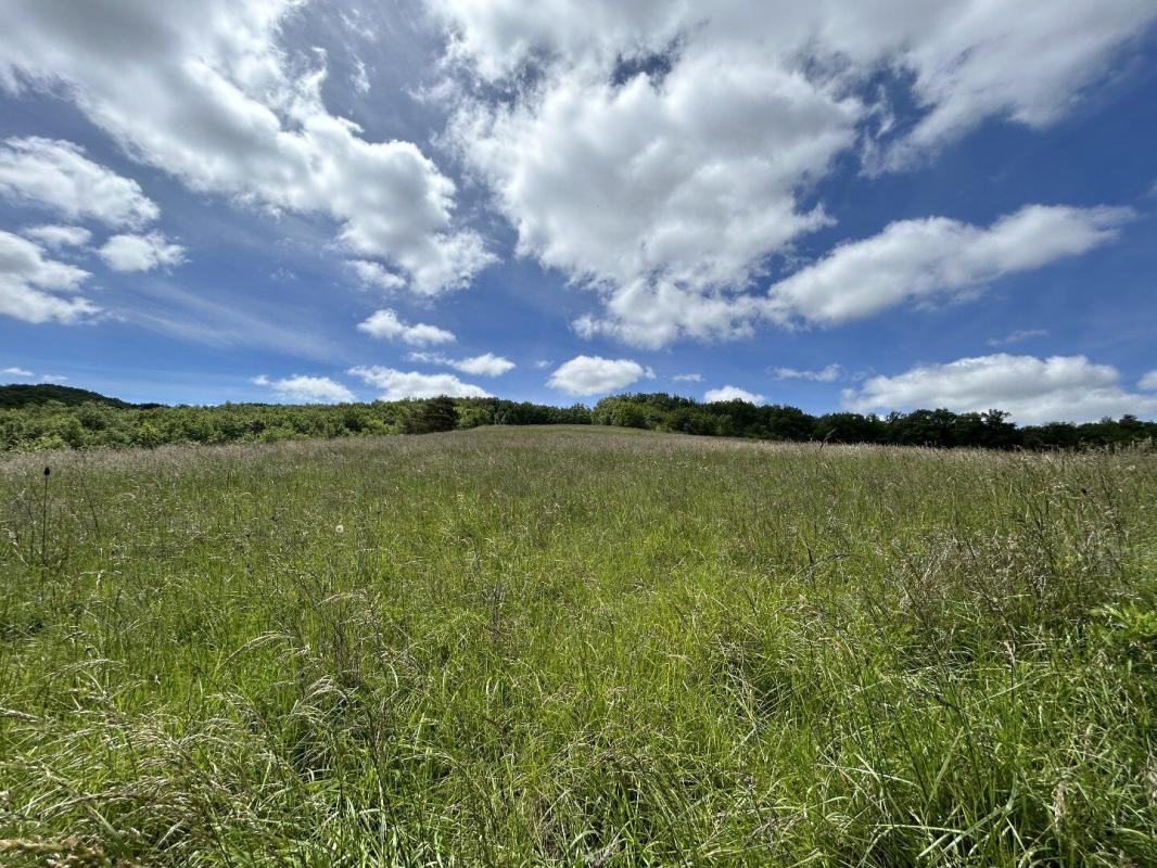 4 bedroom foret in Escueillens Et Saint Just, Aude, France