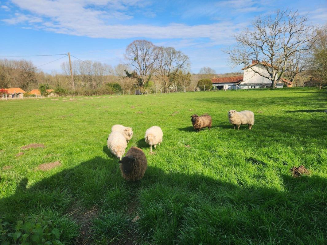 2 bedroom propriete in Roumazieres Loubert, Charente, France