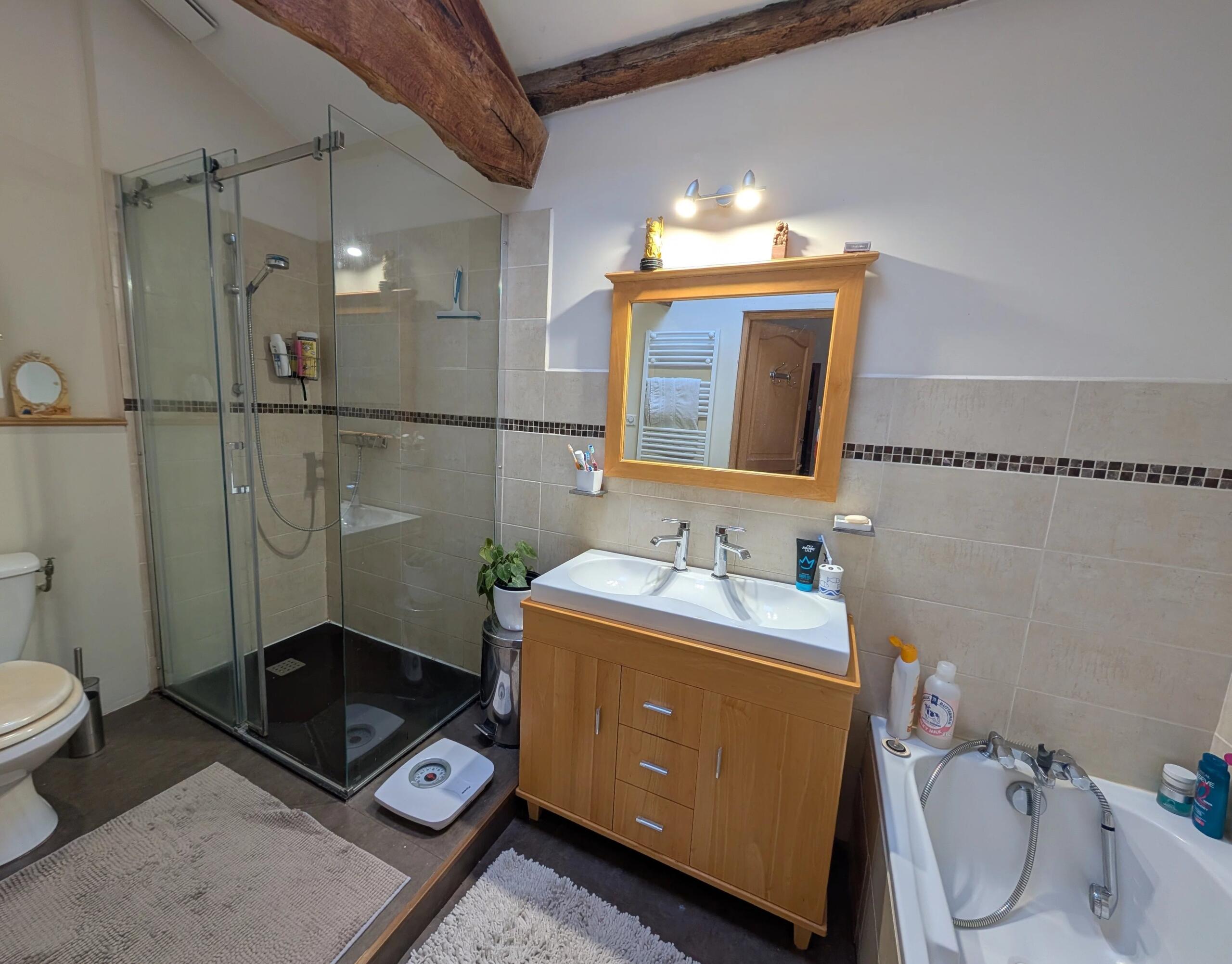 Lovely three-bedroom home with two gîtes and paddocks,  – France – BVI85244
