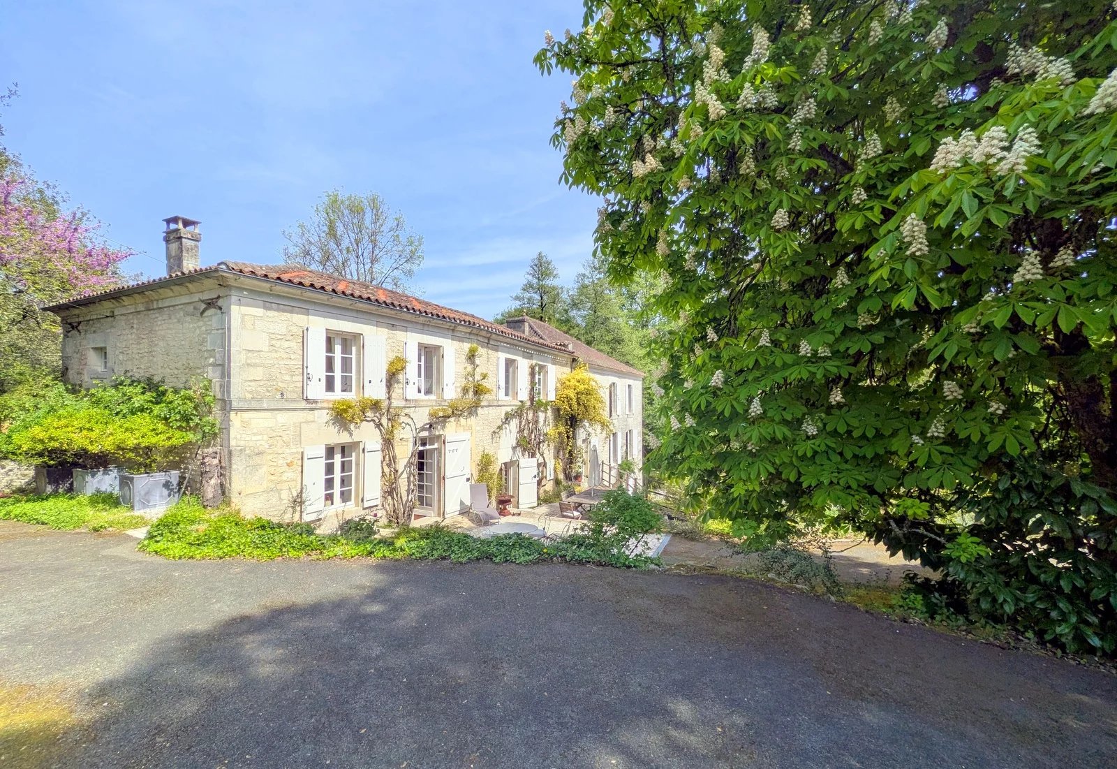 Paradise! 7 bed former mill with natural swimming pool close to Cognac., Poitou-Charentes – France – BVI85420