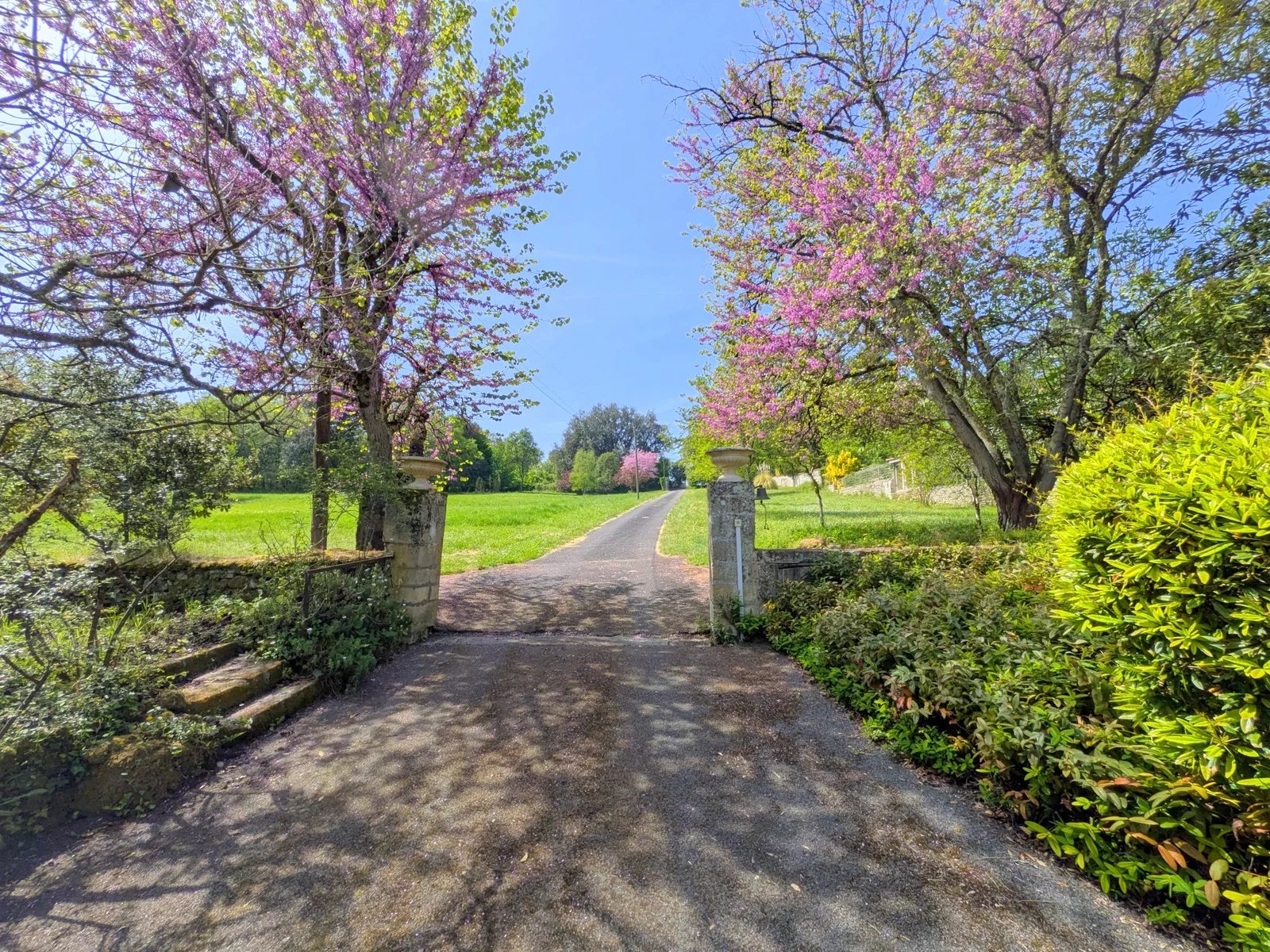 Paradise! 7 bed former mill with natural swimming pool close to Cognac., Poitou-Charentes – France – BVI85420