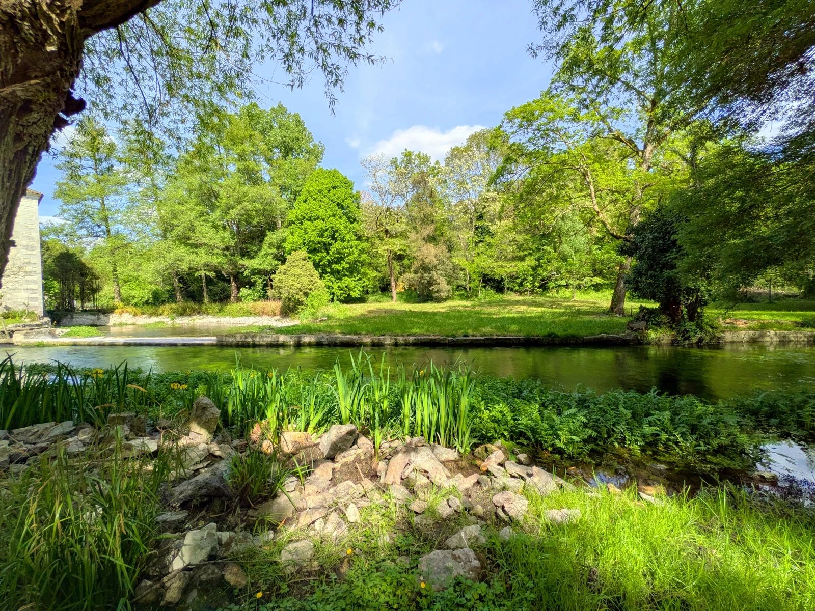 Paradise! 7 bed former mill with natural swimming pool close to Cognac., Poitou-Charentes – France – BVI85420