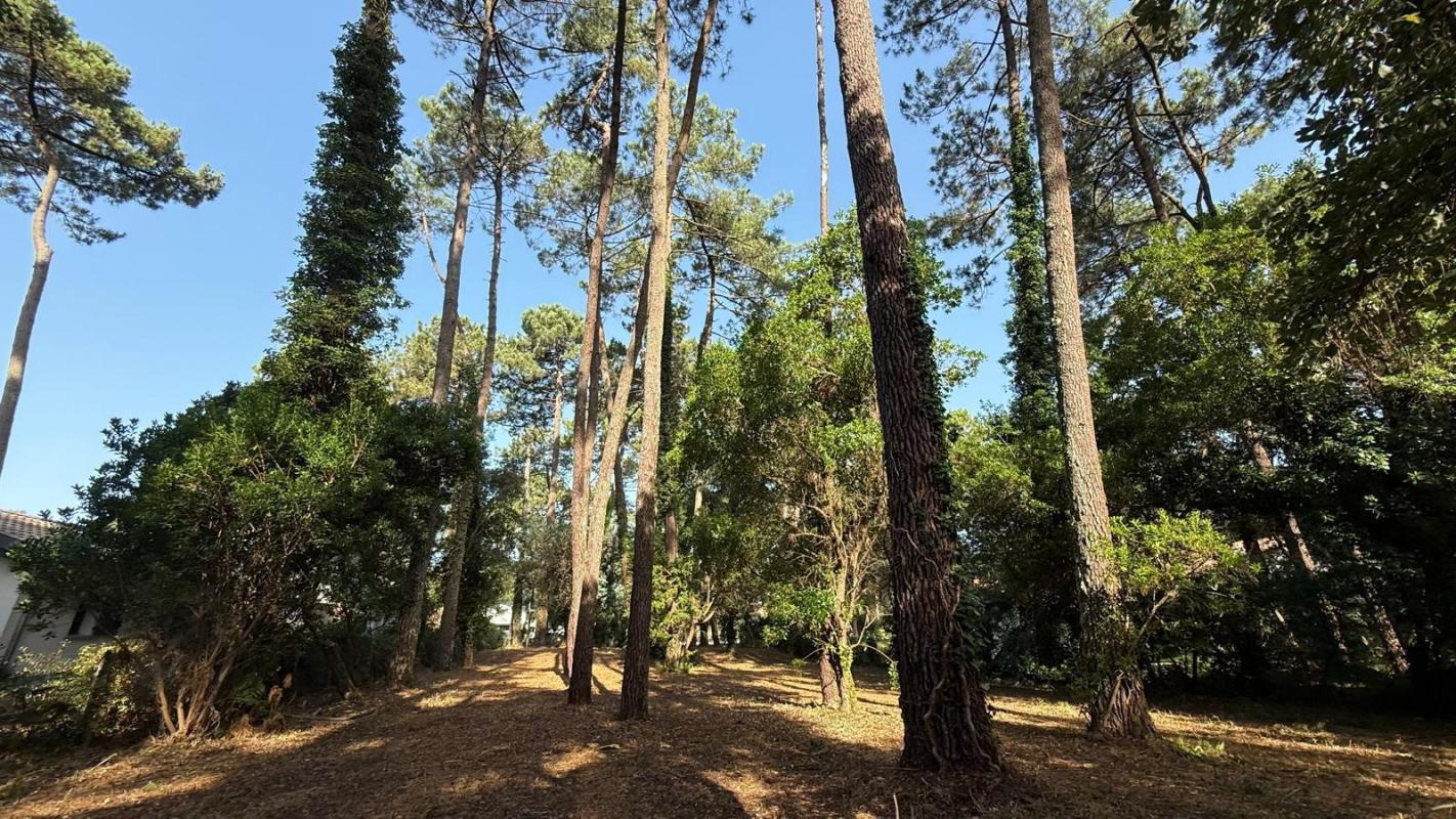 terrain a batir in Soorts Hossegor, Landes, France