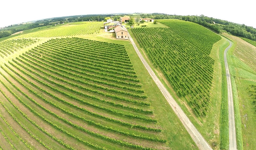 exploitation viticole in Sauveterre De Guyenne, Gironde, France