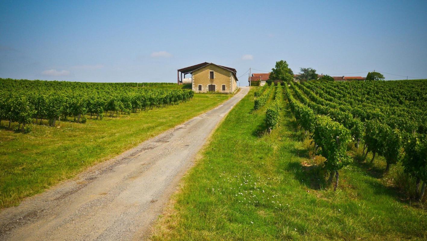 exploitation viticole in Sauveterre De Guyenne, Gironde, France