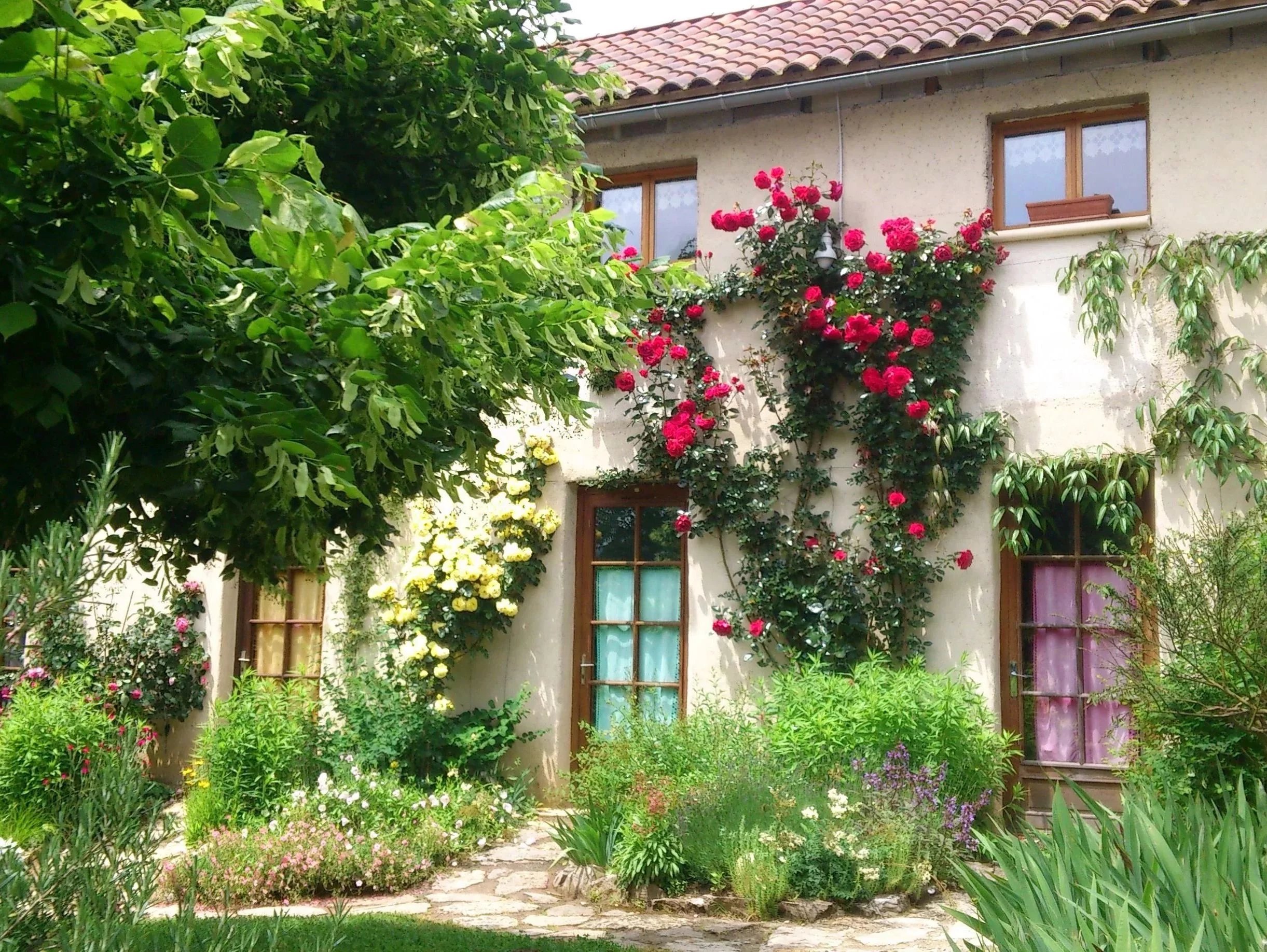 Sector Saint-Cirq-Lapopie: Charming 4 bedroomed house with 2 gites, 1,5 ha of certified organic smallholding and views, Midi-Pyrénées – France – BVI85134
