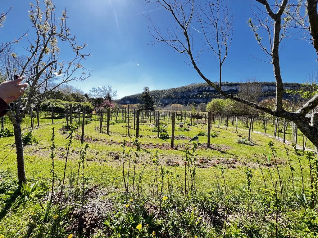 Sector Saint-Cirq-Lapopie: Charming 4 bedroomed house with 2 gites, 1,5 ha of certified organic smallholding and views, Midi-Pyrénées – France – BVI85134