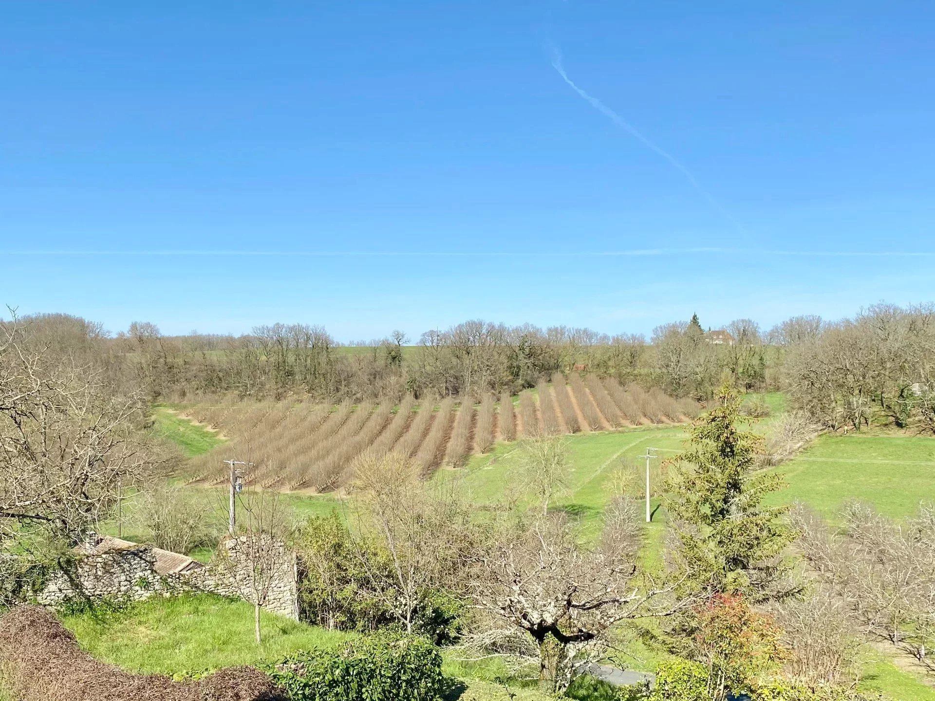 Large house with outdoor space in the heart of a lovely village, Aquitaine – France – BVI74505