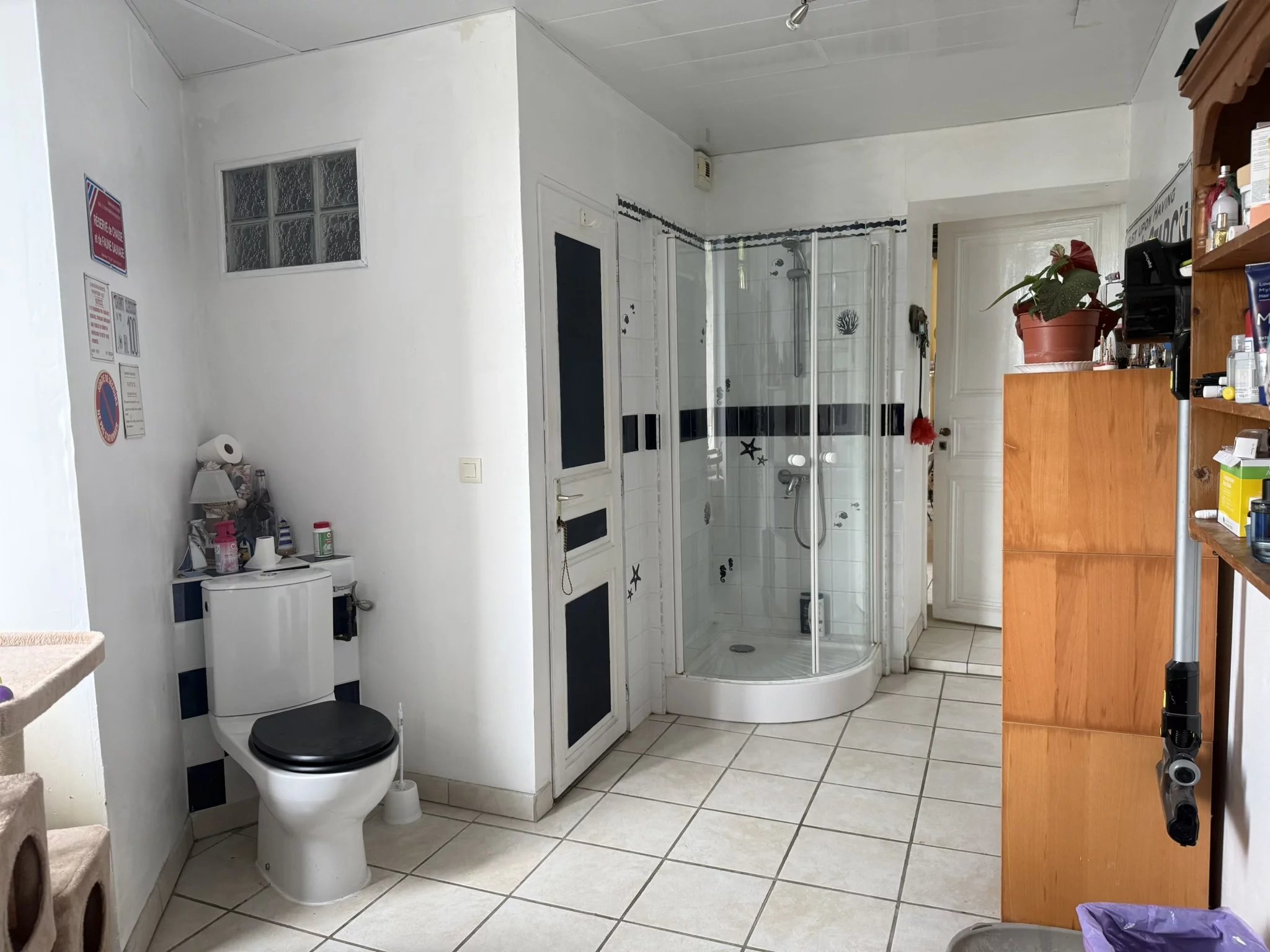 Substantial Village House with Cottage close to Beaches, Poitou-Charentes – France – BVI84336