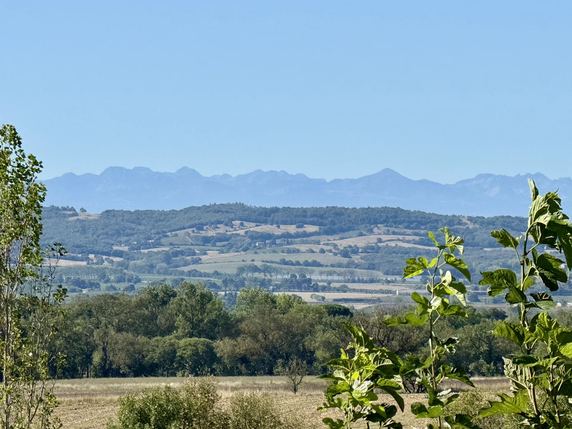 CARCASSONNE Beautifully presented grand home in the ideal setting, Languedoc-Roussillon – France – BVI82677