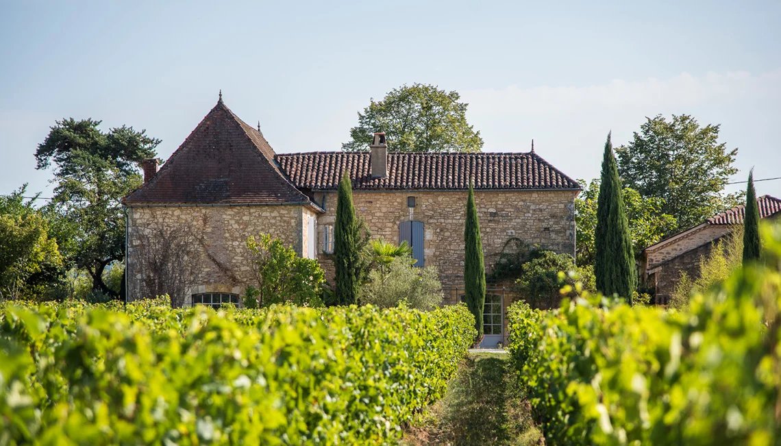 Organic vineyard with lovely wine grower’s house and an all equiped winery, Midi-Pyrénées – France – BVI65702