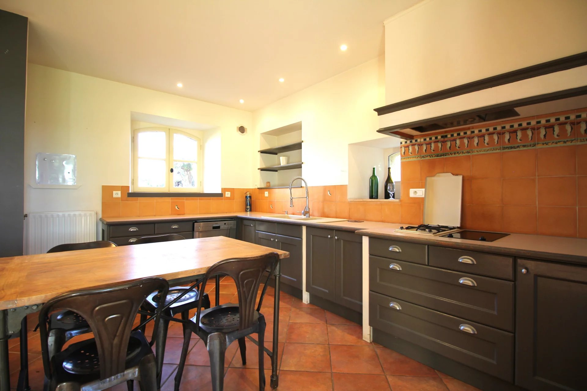 Organic vineyard with lovely wine grower’s house and an all equiped winery, Midi-Pyrénées – France – BVI65702