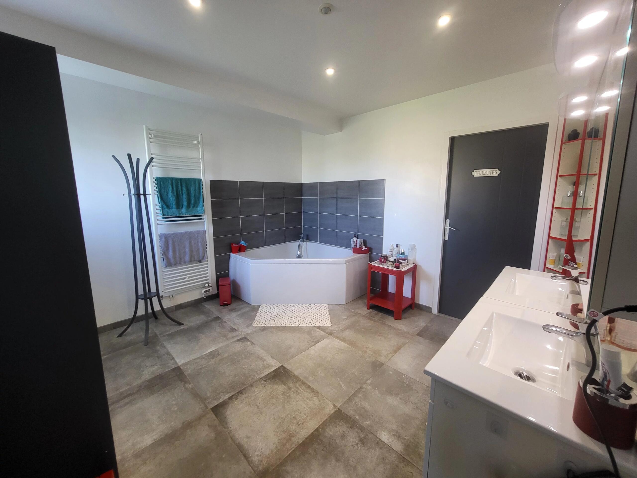Beautifully renovated 4-bedroom longère with outbuildings, land and expansion potential, near Chauvigny, Poitou-Charentes – France – BVI85028