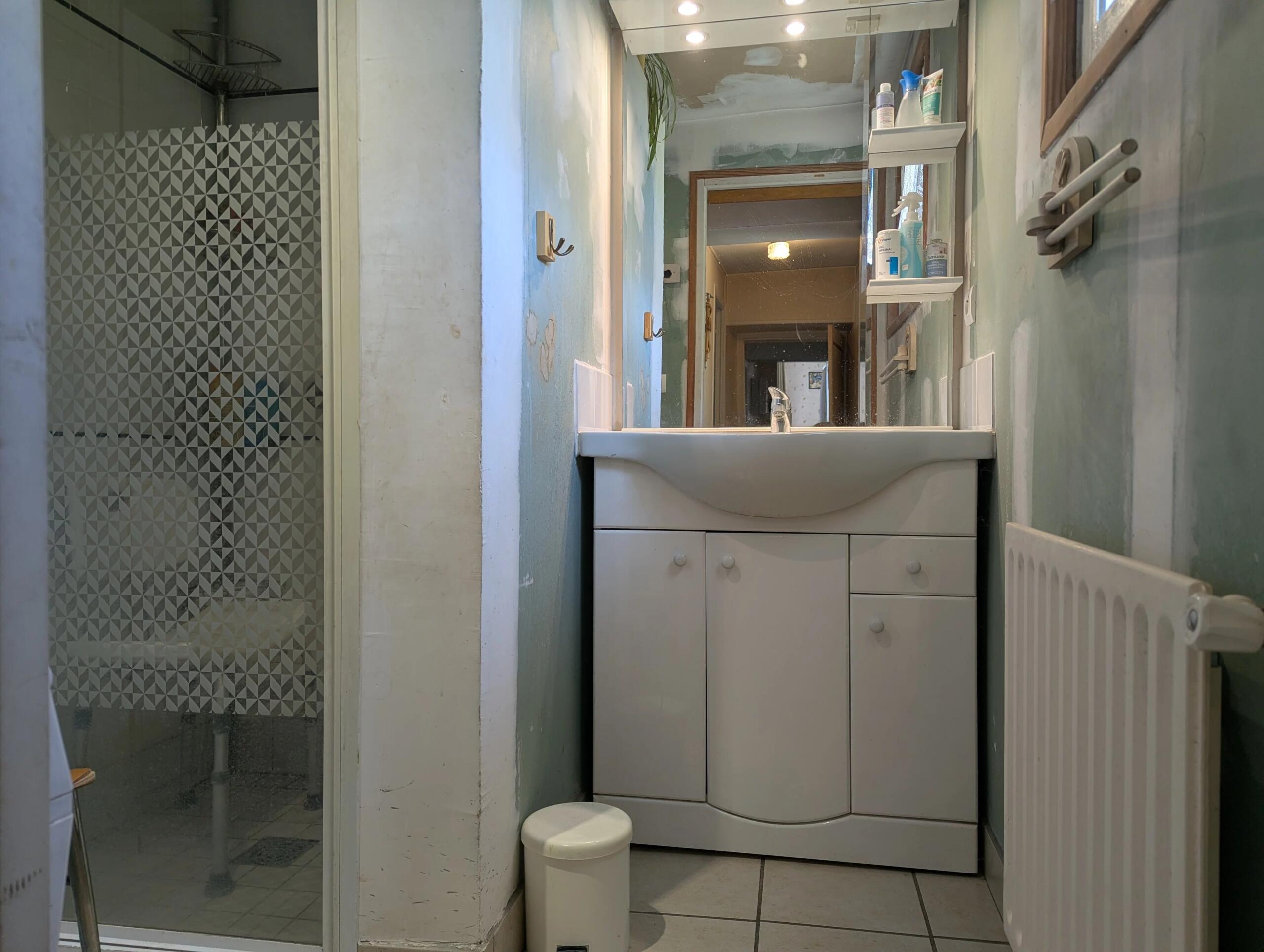 Pretty 3 bedroom property with 1.2 hectares of land, Poitou-Charentes – France – BVI84872