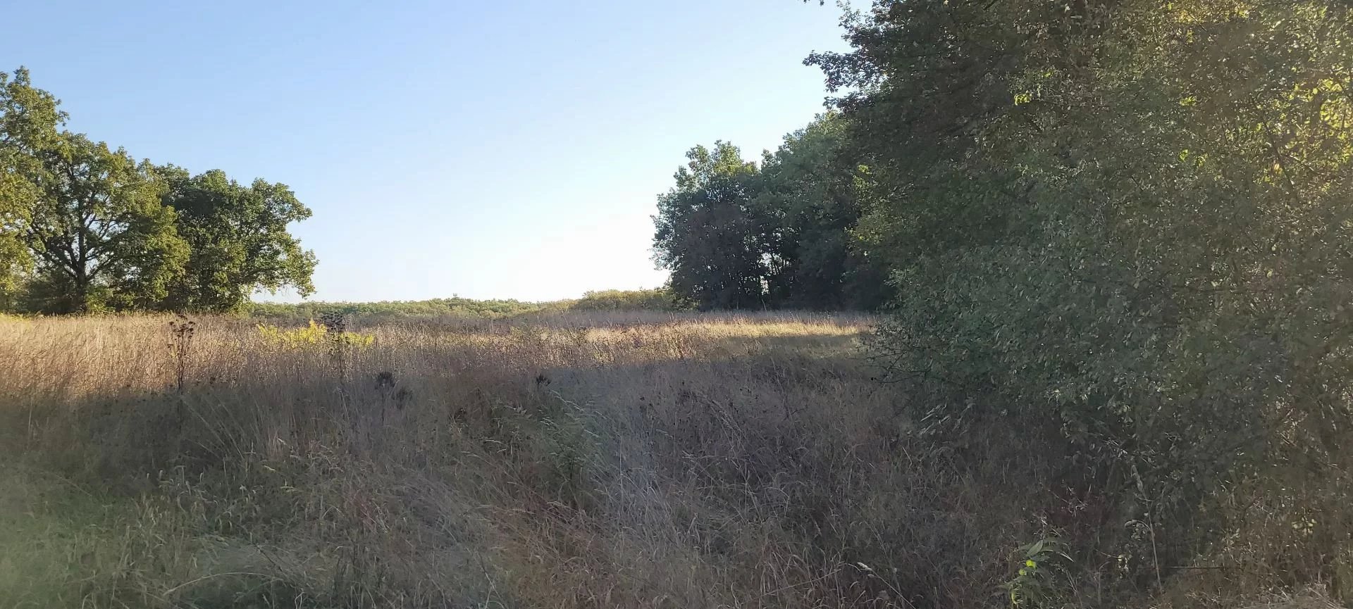 Building plot with woodland Montaigu-de-Quercy, Midi-Pyrénées – France – BVI72510