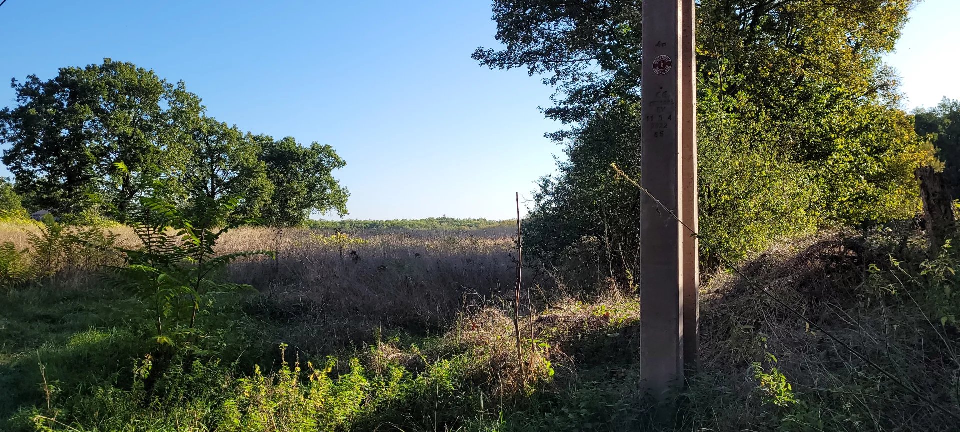 Building plot with woodland Montaigu-de-Quercy, Midi-Pyrénées – France – BVI72510