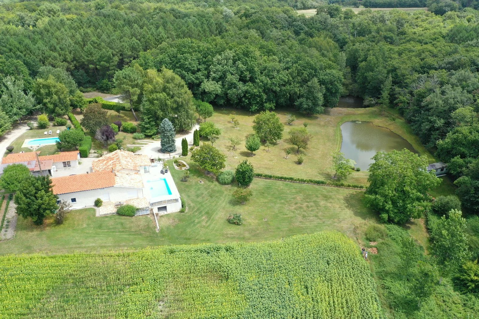 Charming property in idyllic setting with income generating guest house, Poitou-Charentes – France – BVI67178