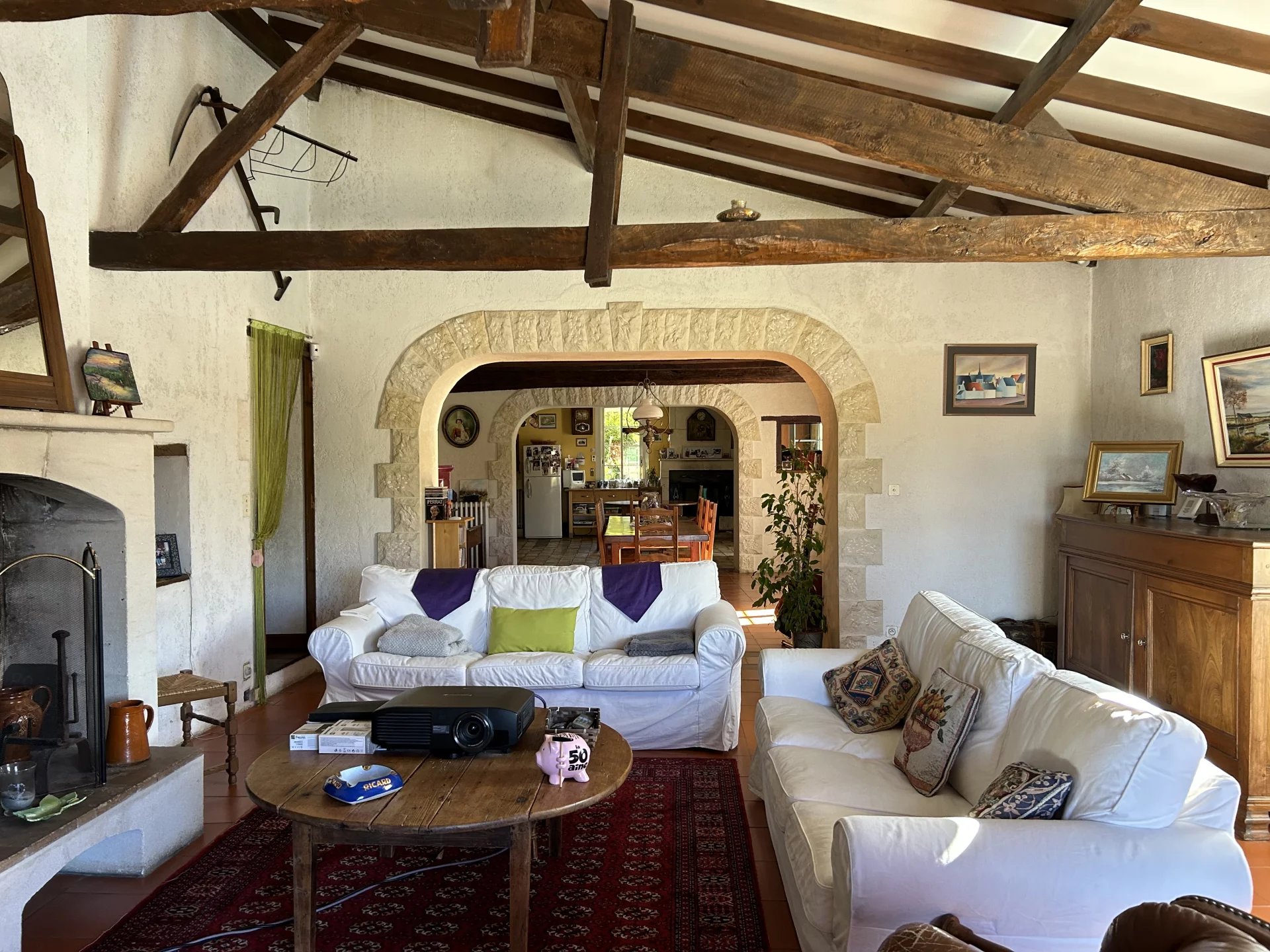 Charming property in idyllic setting with income generating guest house, Poitou-Charentes – France – BVI67178