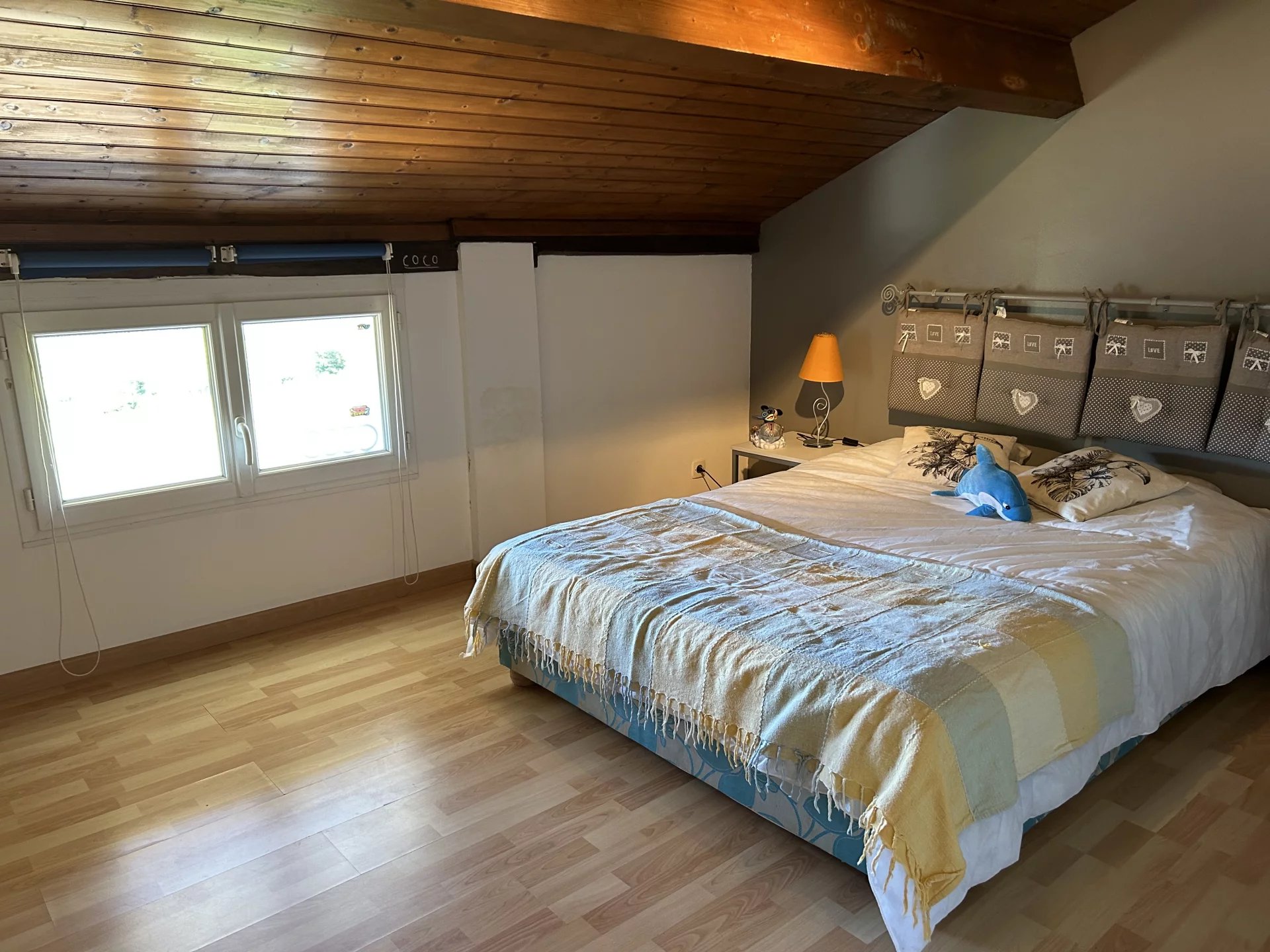 Charming property in idyllic setting with income generating guest house, Poitou-Charentes – France – BVI67178