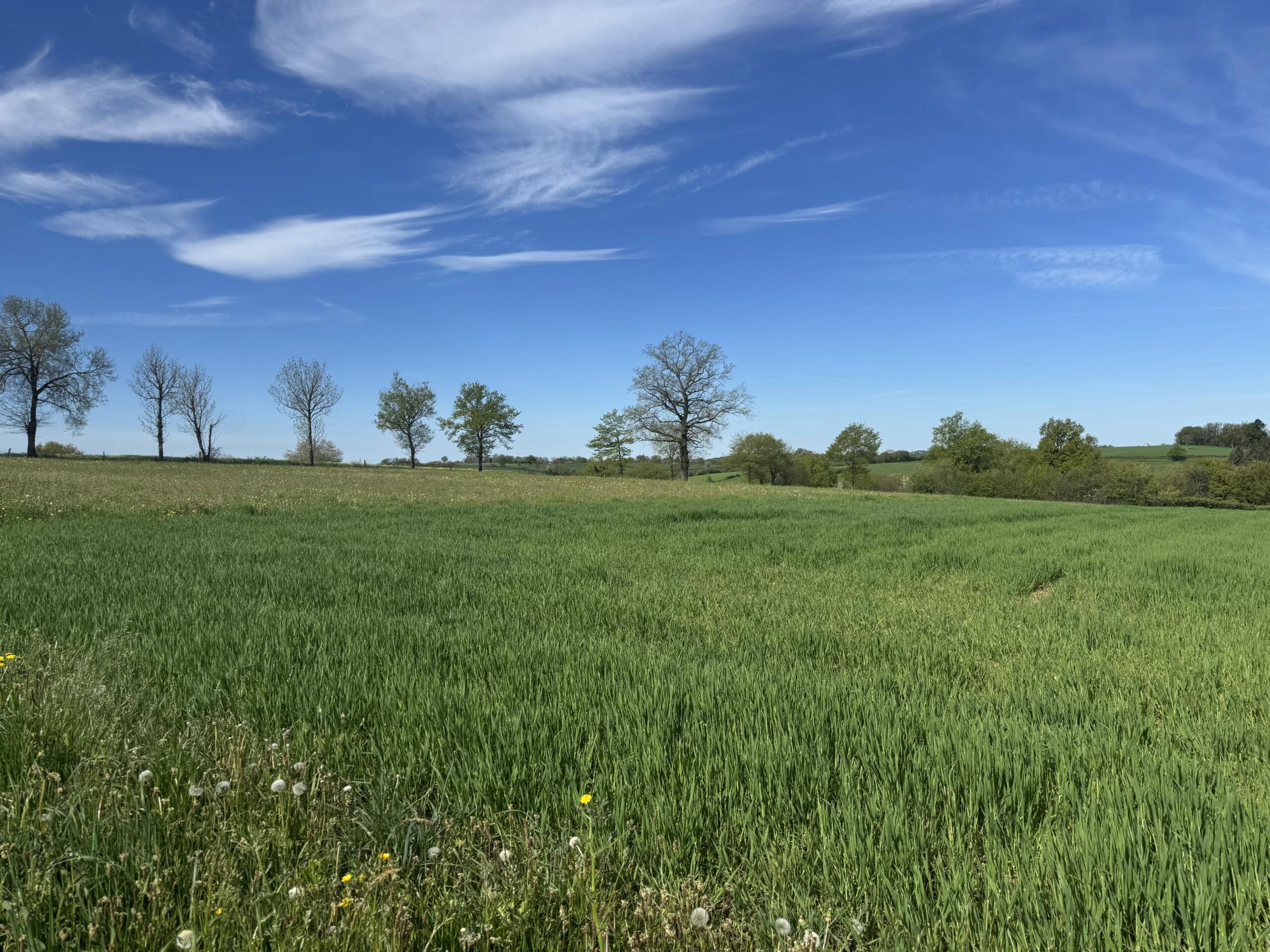 Former Farm Property to Renovate with 4.28 Hectares near Rieupeyroux, Midi-Pyrénées – France – BVI85455