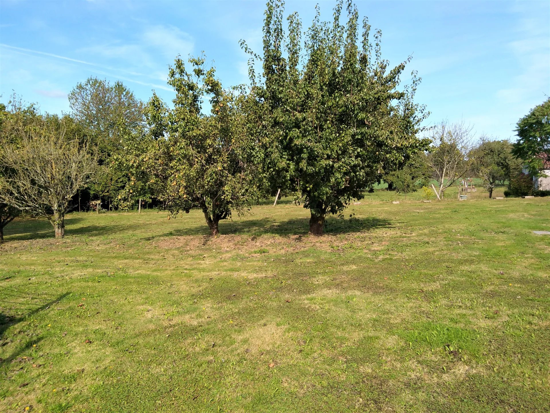 Detached Spacious 4-Bedroom Stone Home with Garden, Pool & Countryside Views, Poitou-Charentes – France – BVI71211