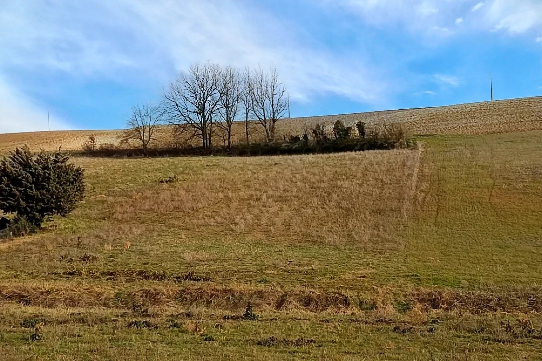exploitation agricole in Graulhet, Tarn, France