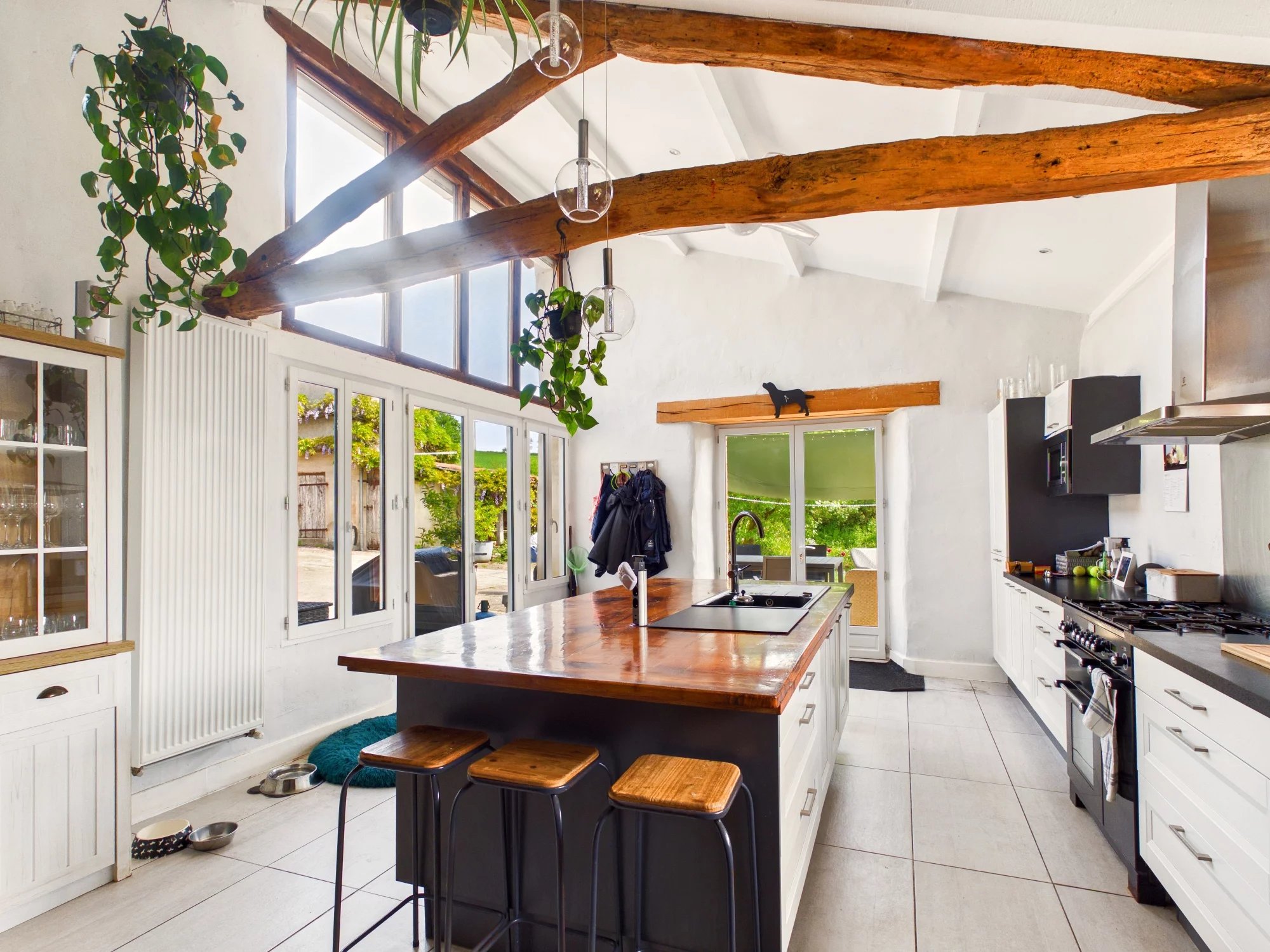 Albi: Farmhouse with gite business, Midi-Pyrénées – France – BVI84812