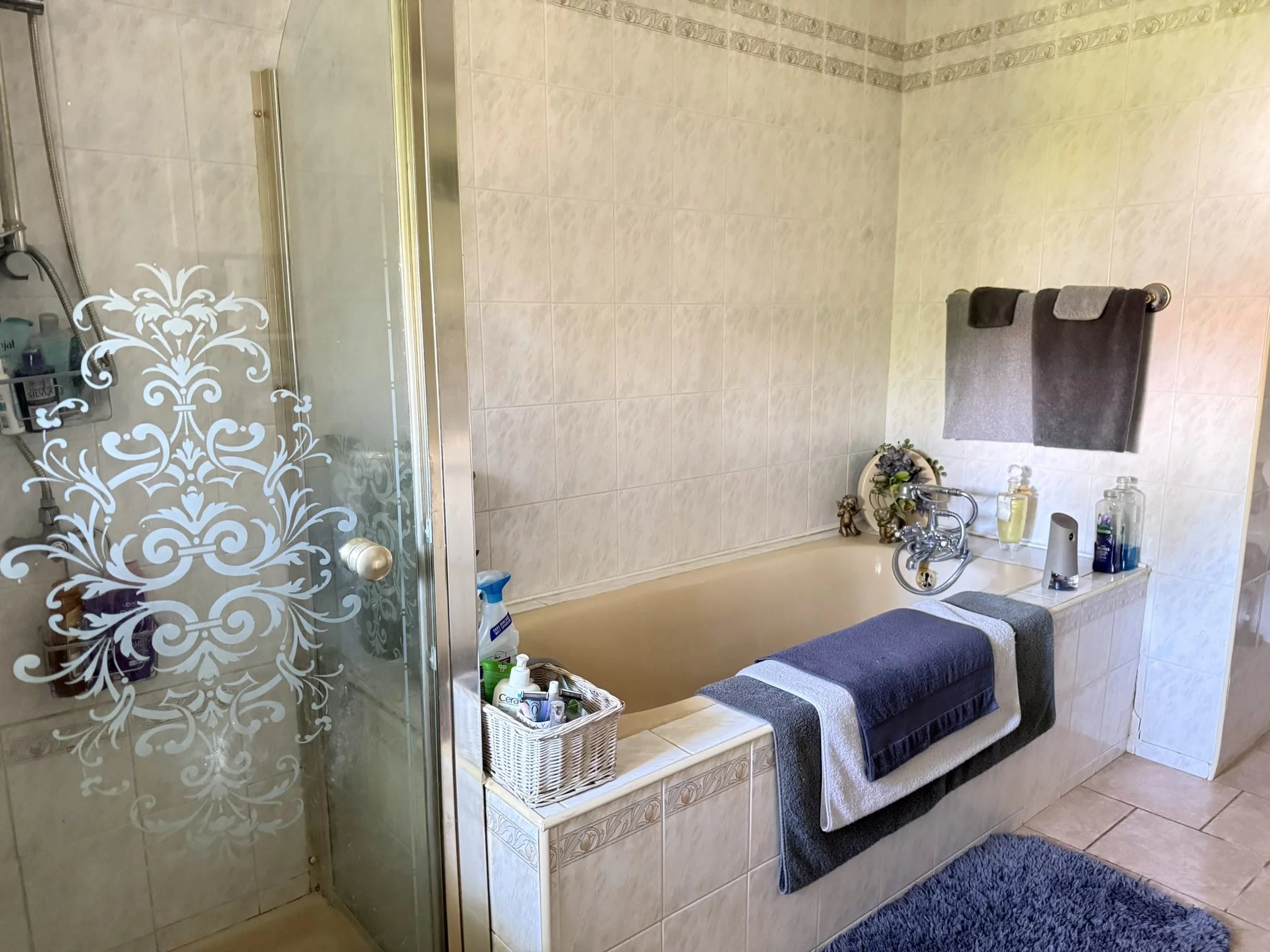 Charming House with Private Pool & Stunning Gardens, Poitou-Charentes – France – BVI85481